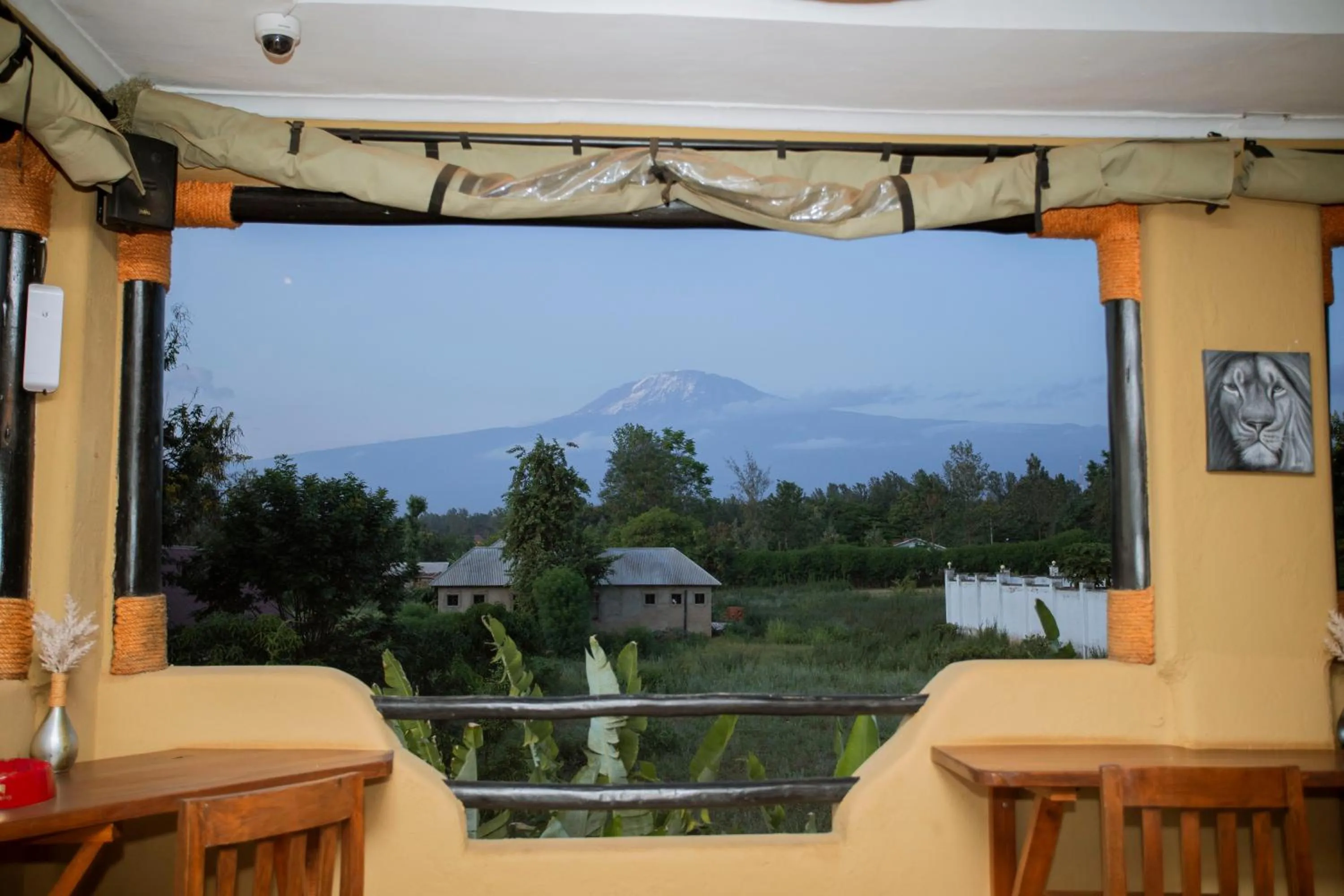 Natural landscape in The Maridadi Hotel