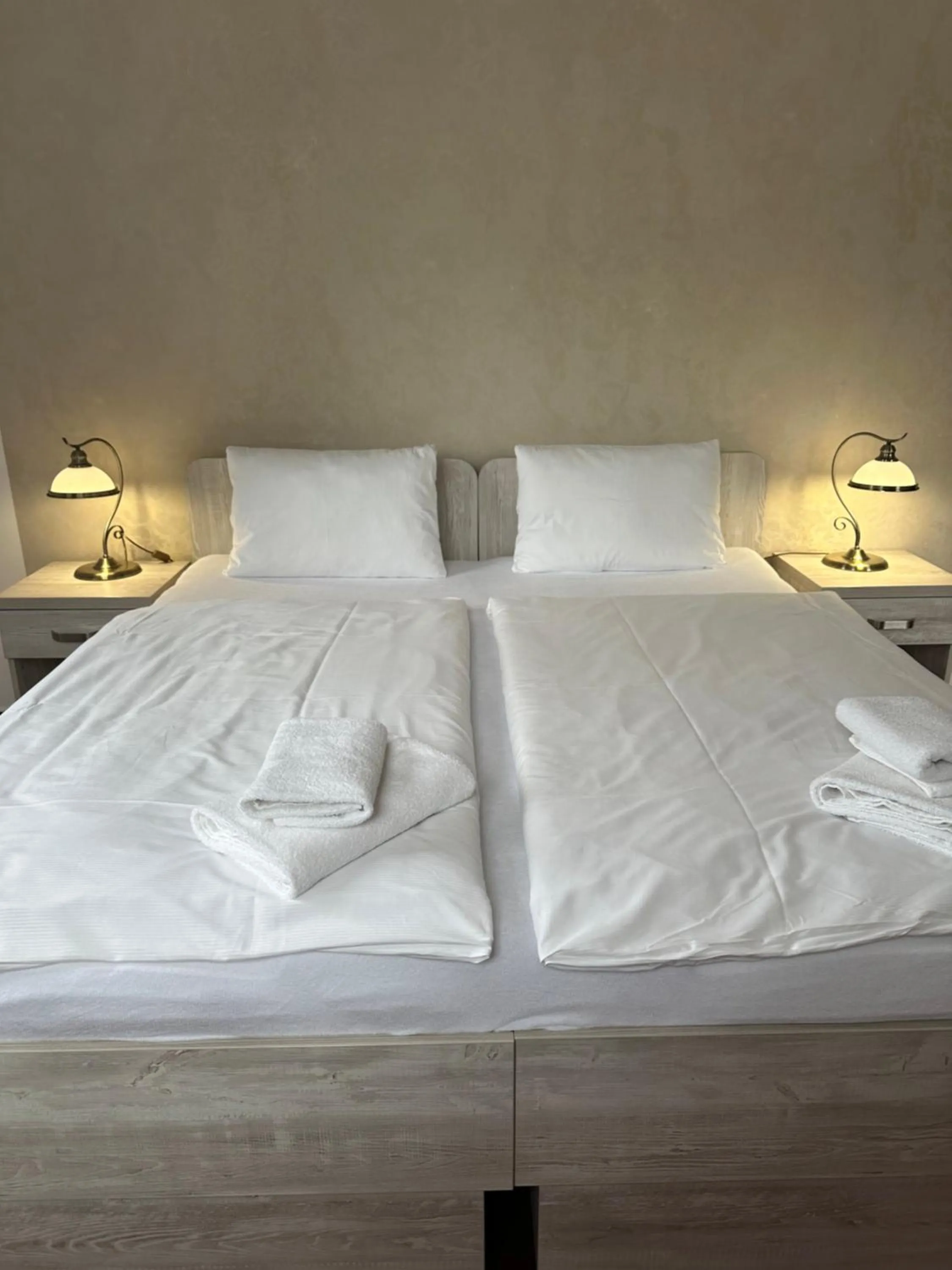 Bed in Hotel Zámeček Raspenava