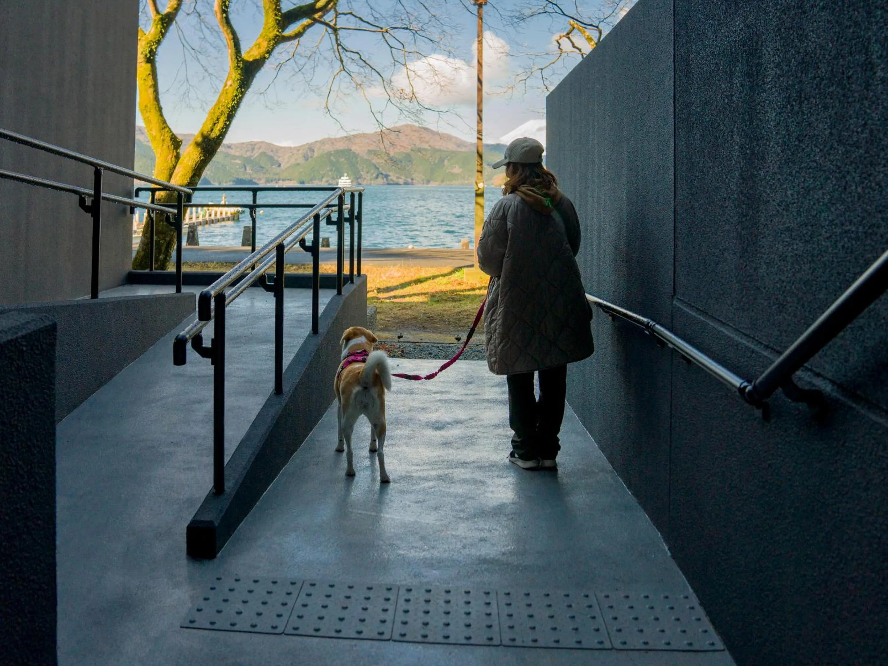 Pets in Rakuten STAY FUJIMI TERRACE Hakone Ashinoko