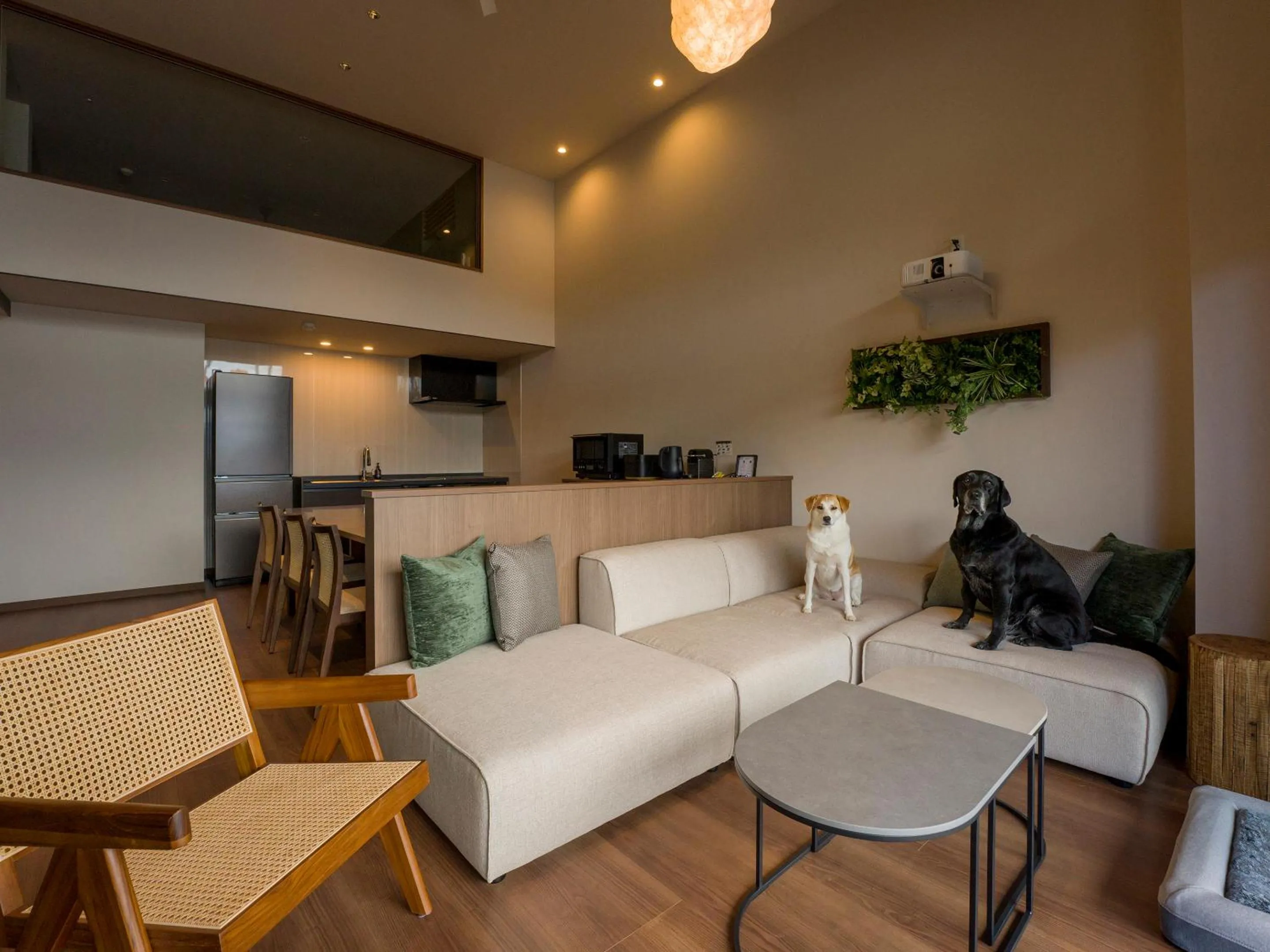 Living room in Rakuten STAY FUJIMI TERRACE Hakone Ashinoko