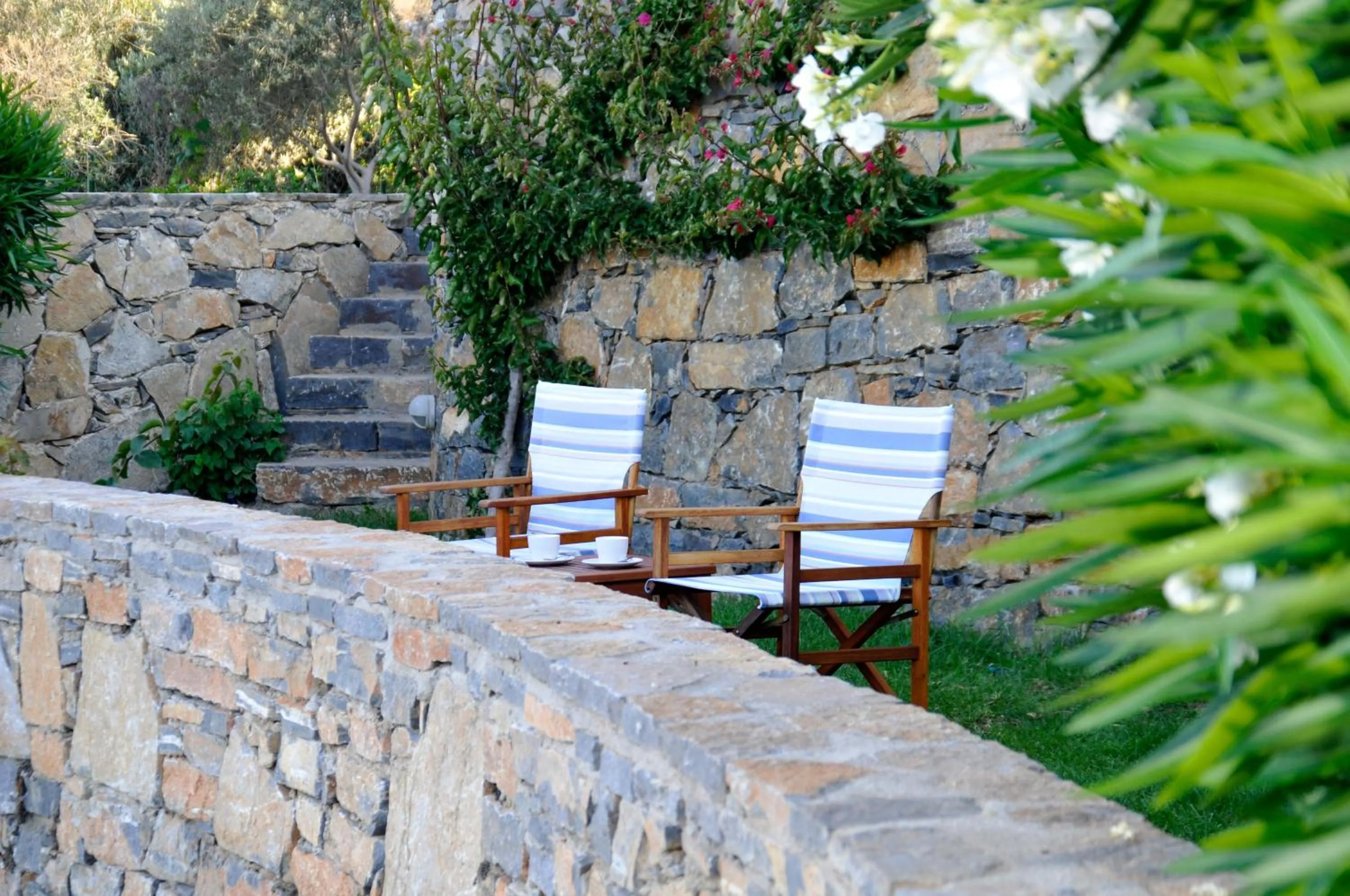 Garden in Elounda Living Residences