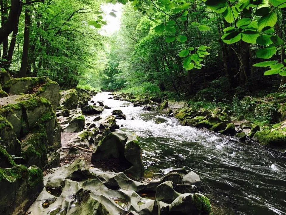 Nearby landmark in Hotel Weinhaus Eberitzsch GmbH