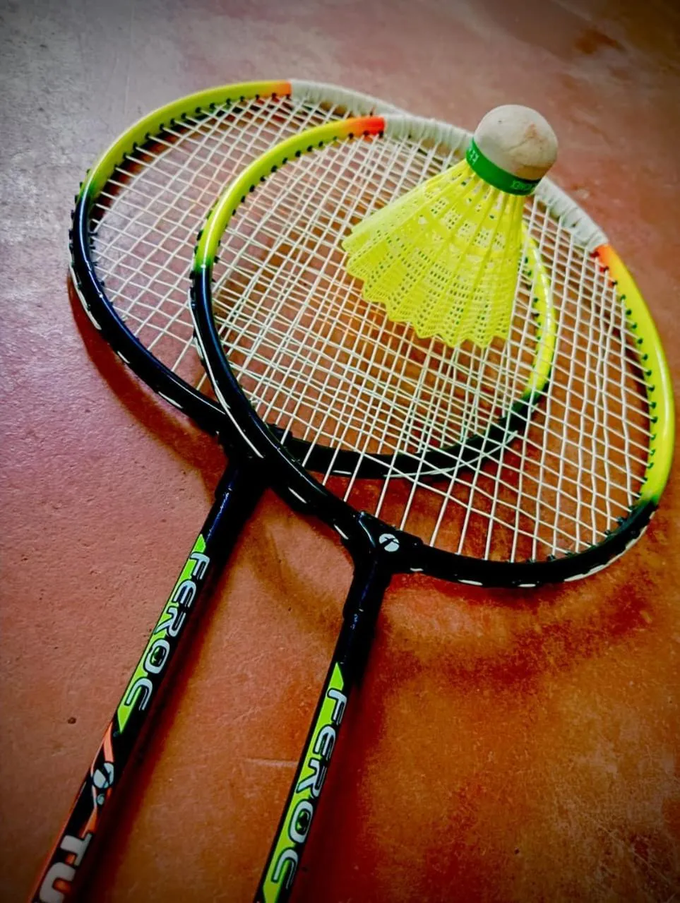 Activities in West Coast Gokarna