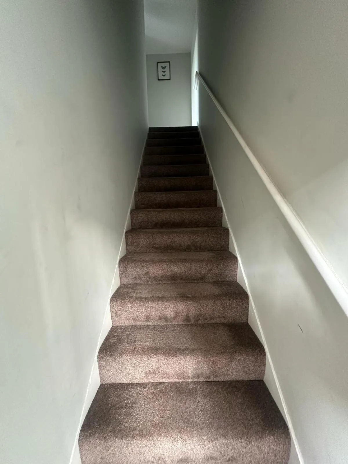 Property building in Adelphi Wharf Apartments by Beehosting