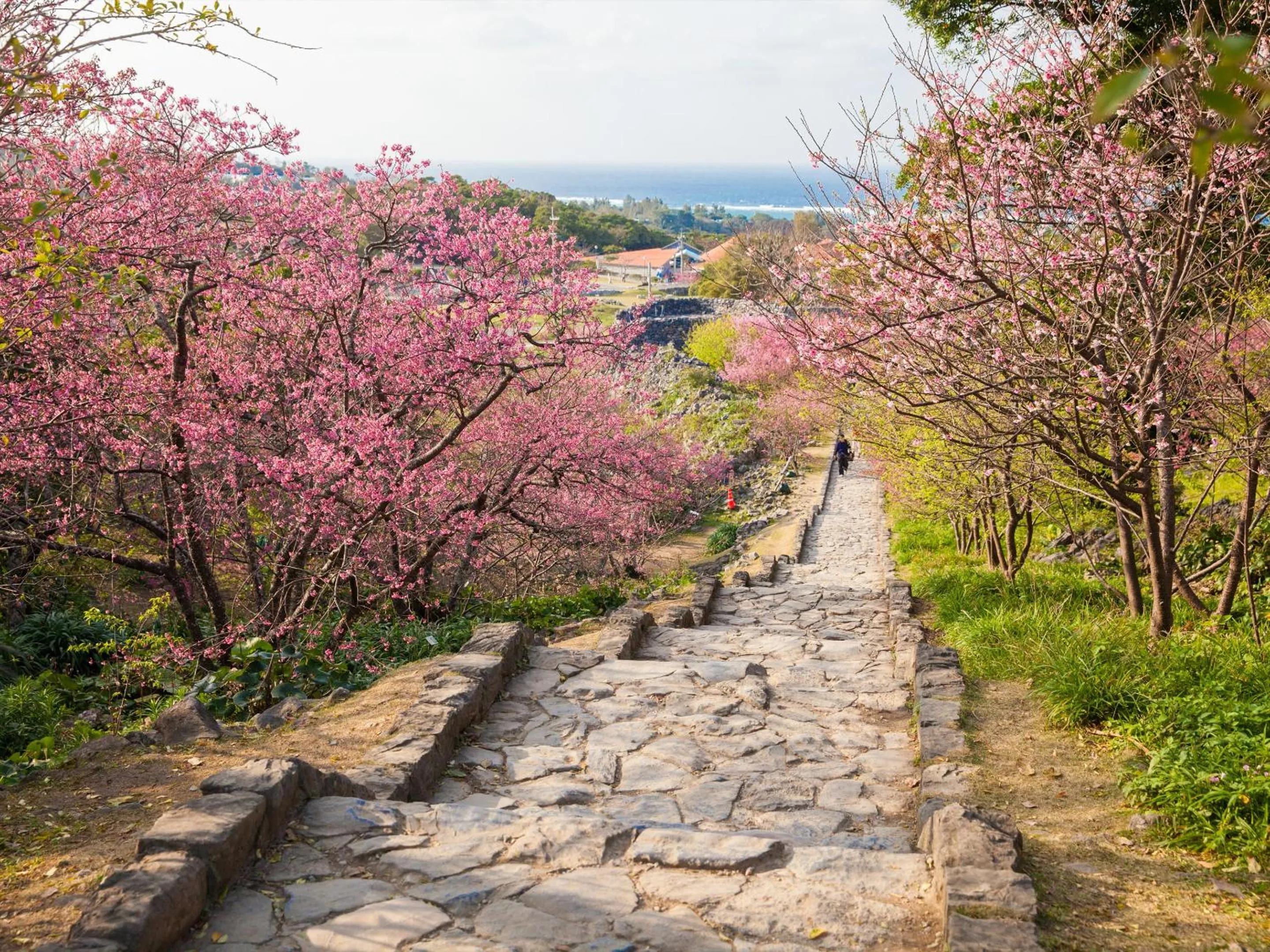 Nearby landmark in Pool Villa Kouri Island by Coldio Smart Resort