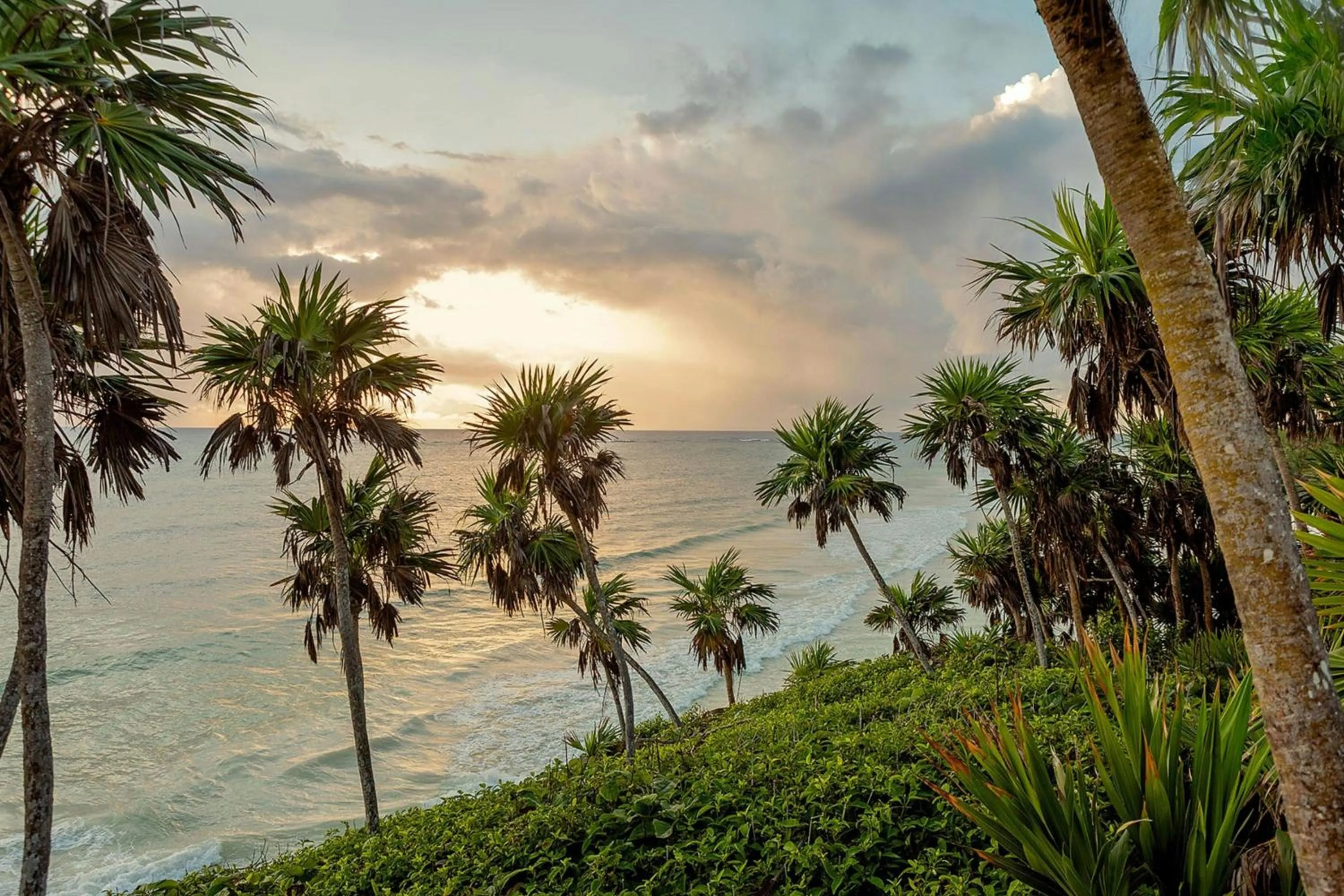 Other in Bloom Tulum, Apartments by Marriott Bonvoy