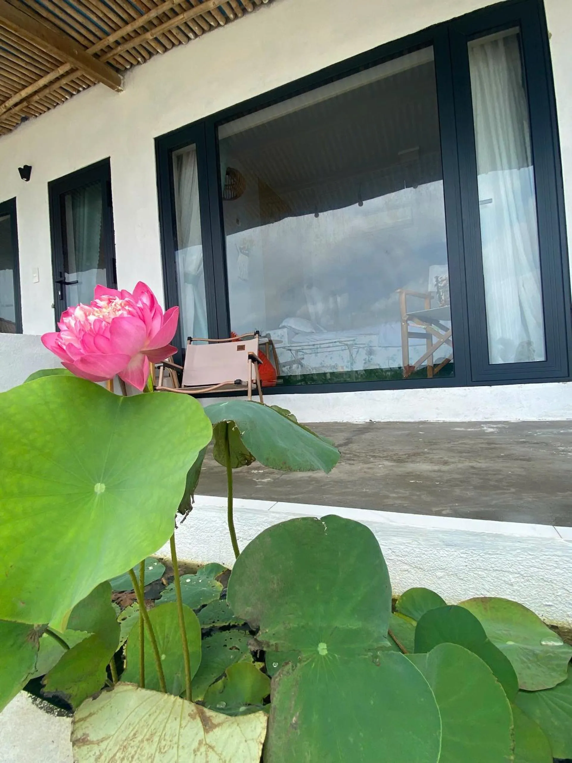 Neighbourhood in Long Vĩ hotel - đảo Phú Quý