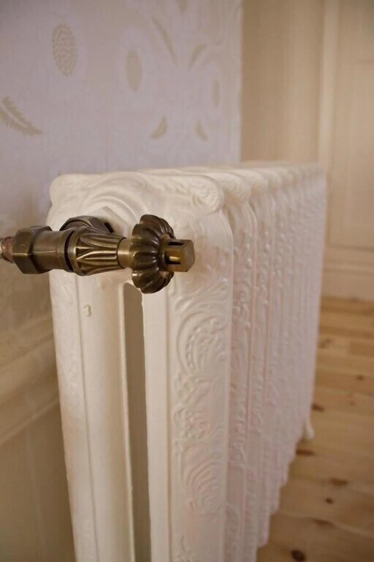 Area and facilities in Schloss Krugsdorf Golf & Hotel