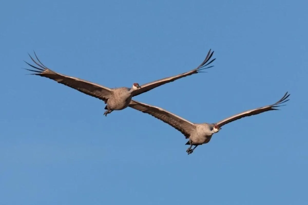 Other in Schloss Krugsdorf Golf & Hotel