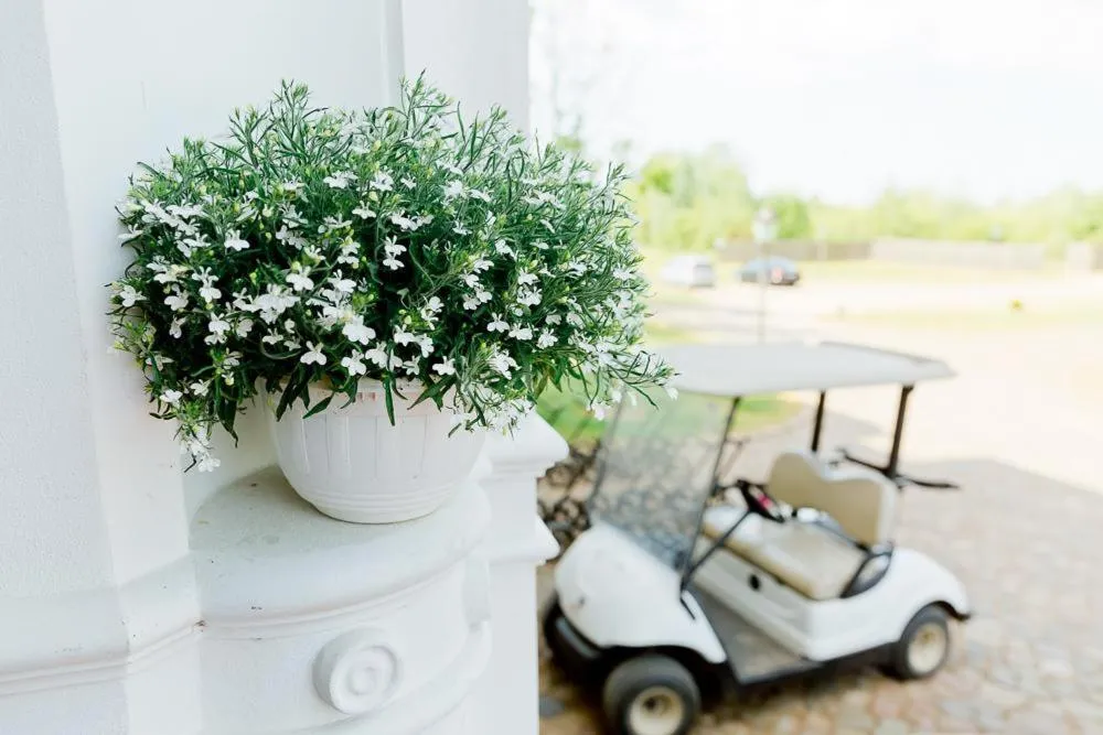 Area and facilities in Schloss Krugsdorf Golf & Hotel