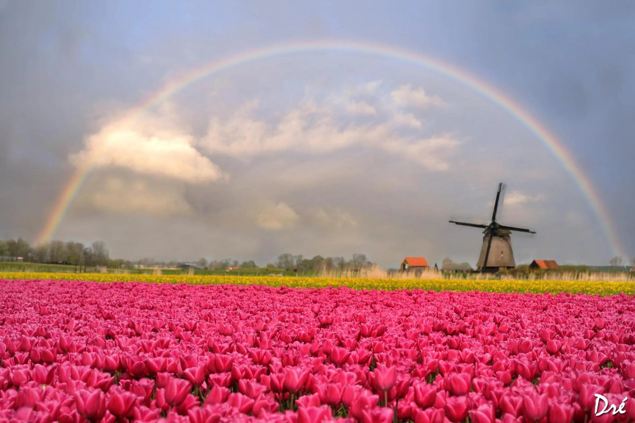 Spring in Strandhotel de Vassy