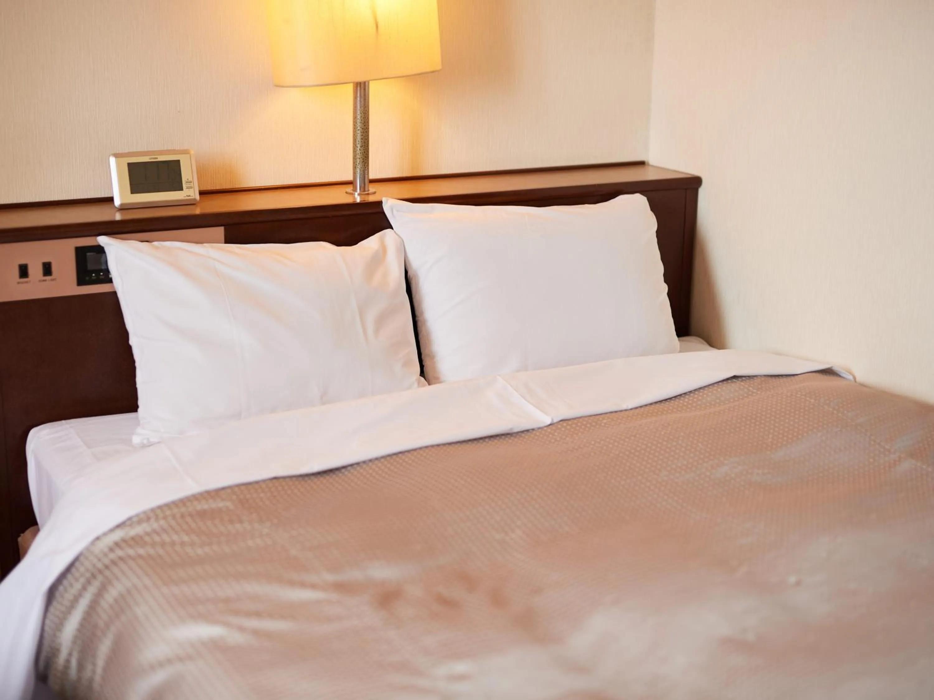 Photo of the whole room, Bed in Tabist Hotel New Central