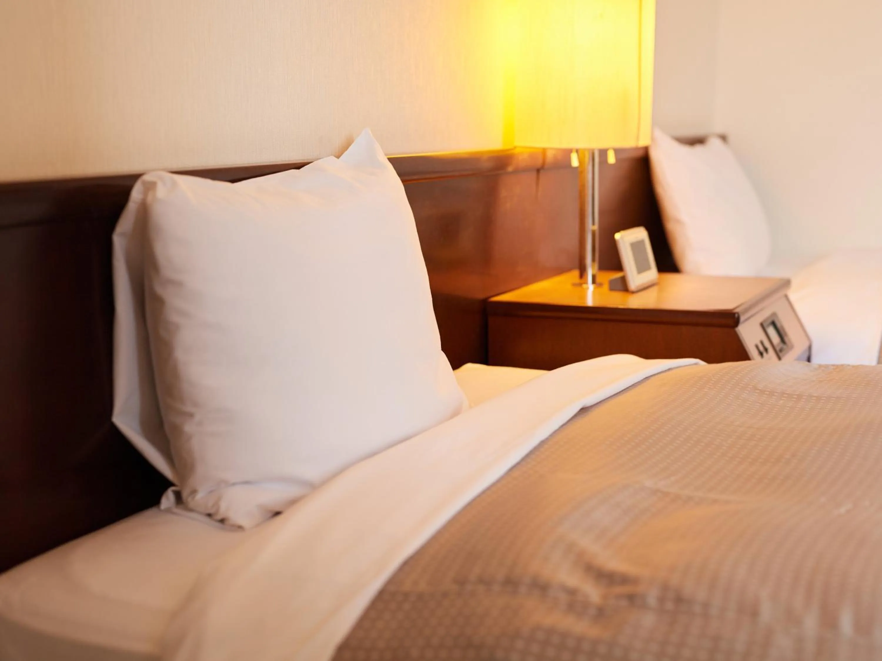 Photo of the whole room, Bed in Tabist Hotel New Central