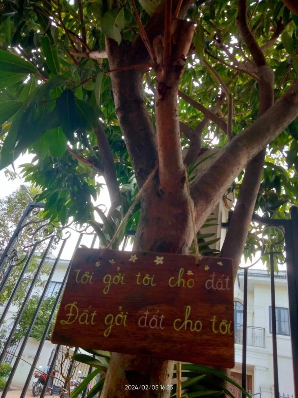 Day in Thong Dong Homestay