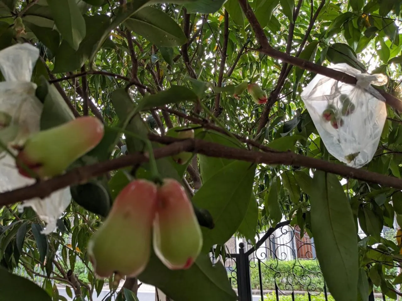 Patio in Thong Dong Homestay