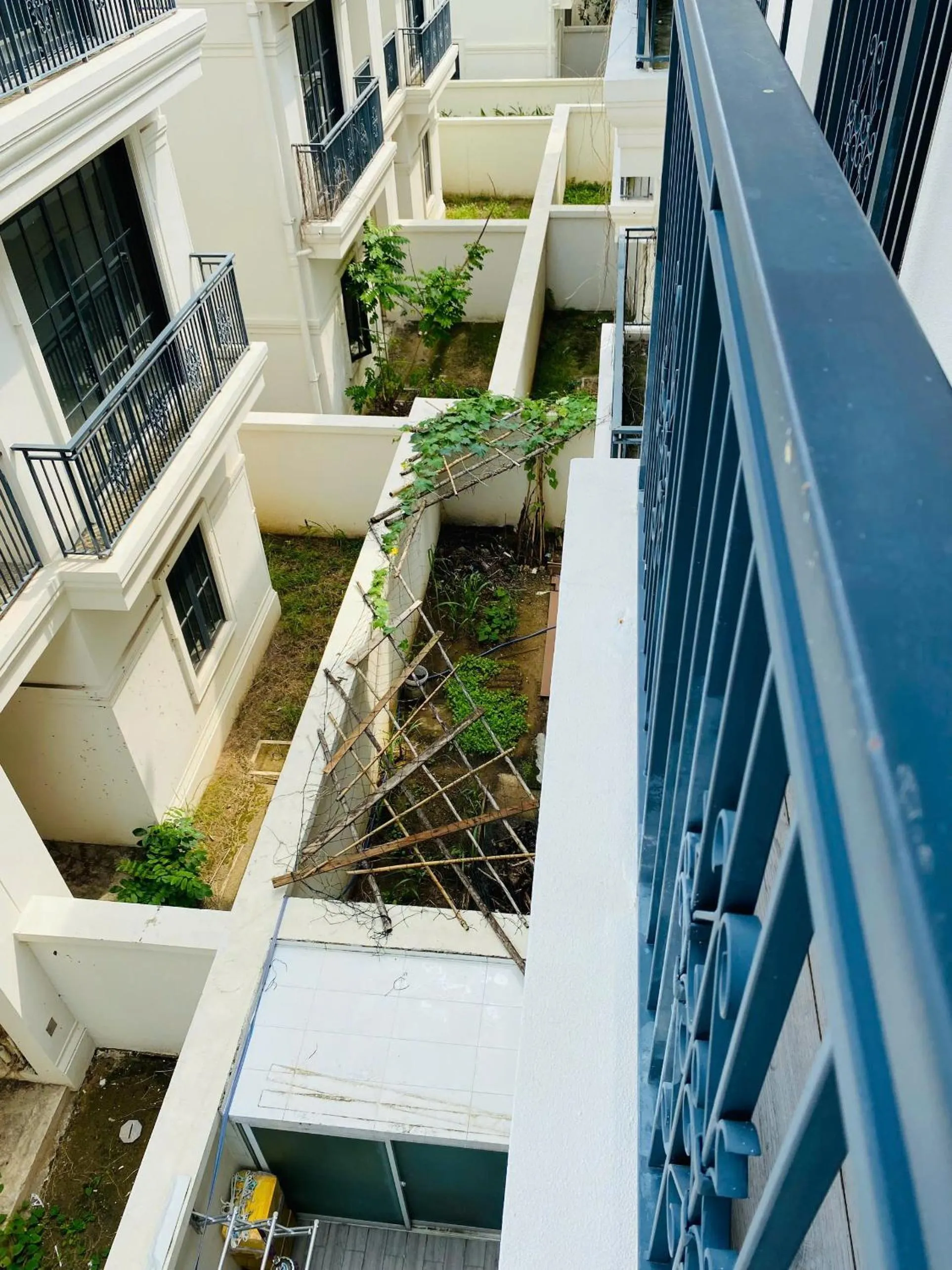 Garden in Thong Dong Homestay