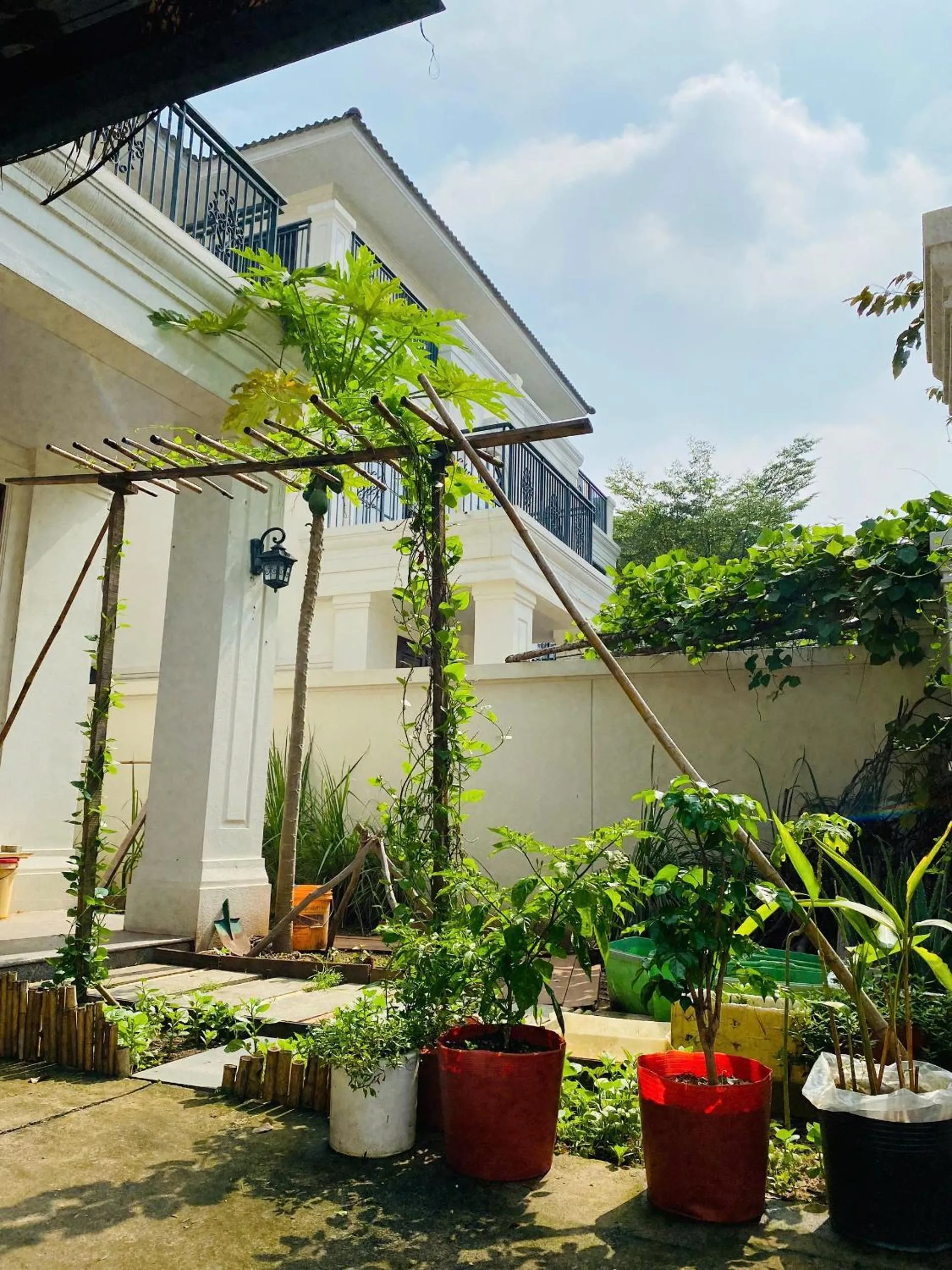 Day in Thong Dong Homestay