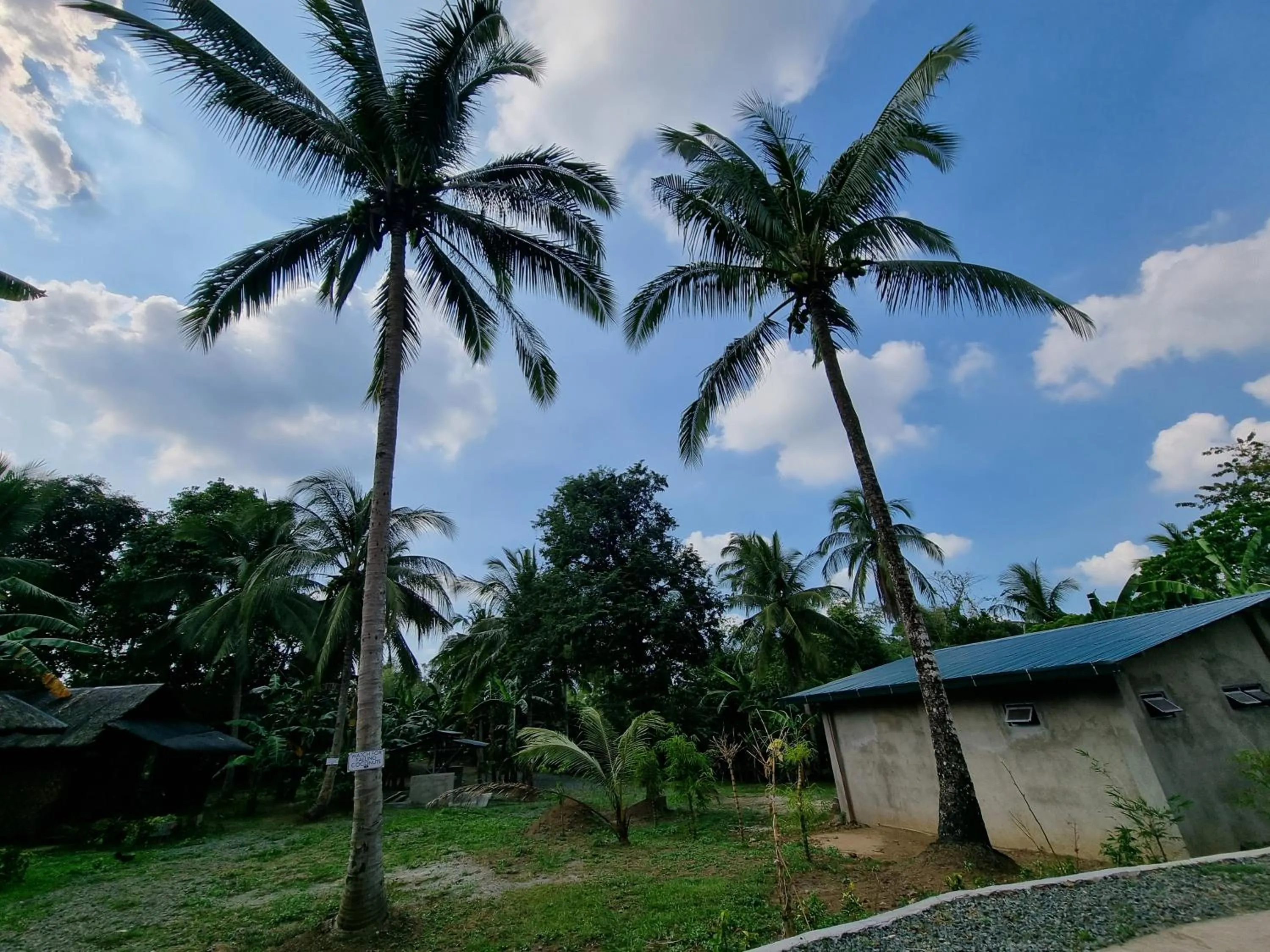 California Breeze Campsite