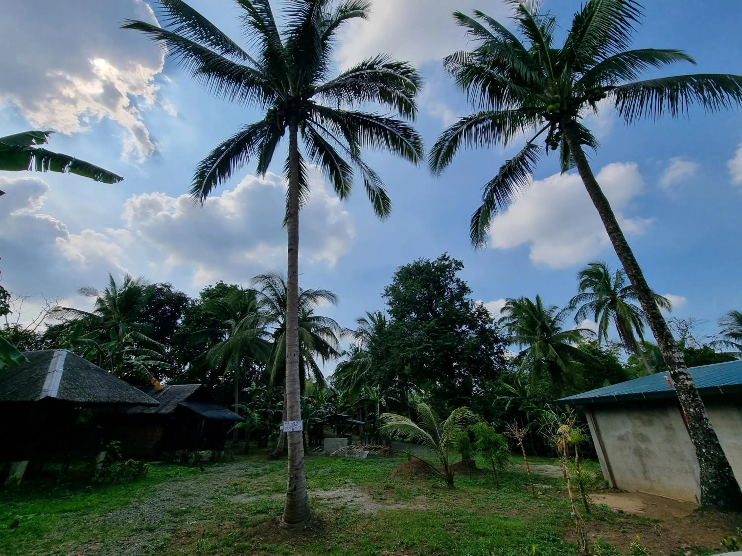 California Breeze Campsite