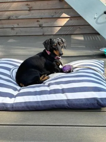 Prima Resort Boddenblick - Camping & Tiny House-Resort