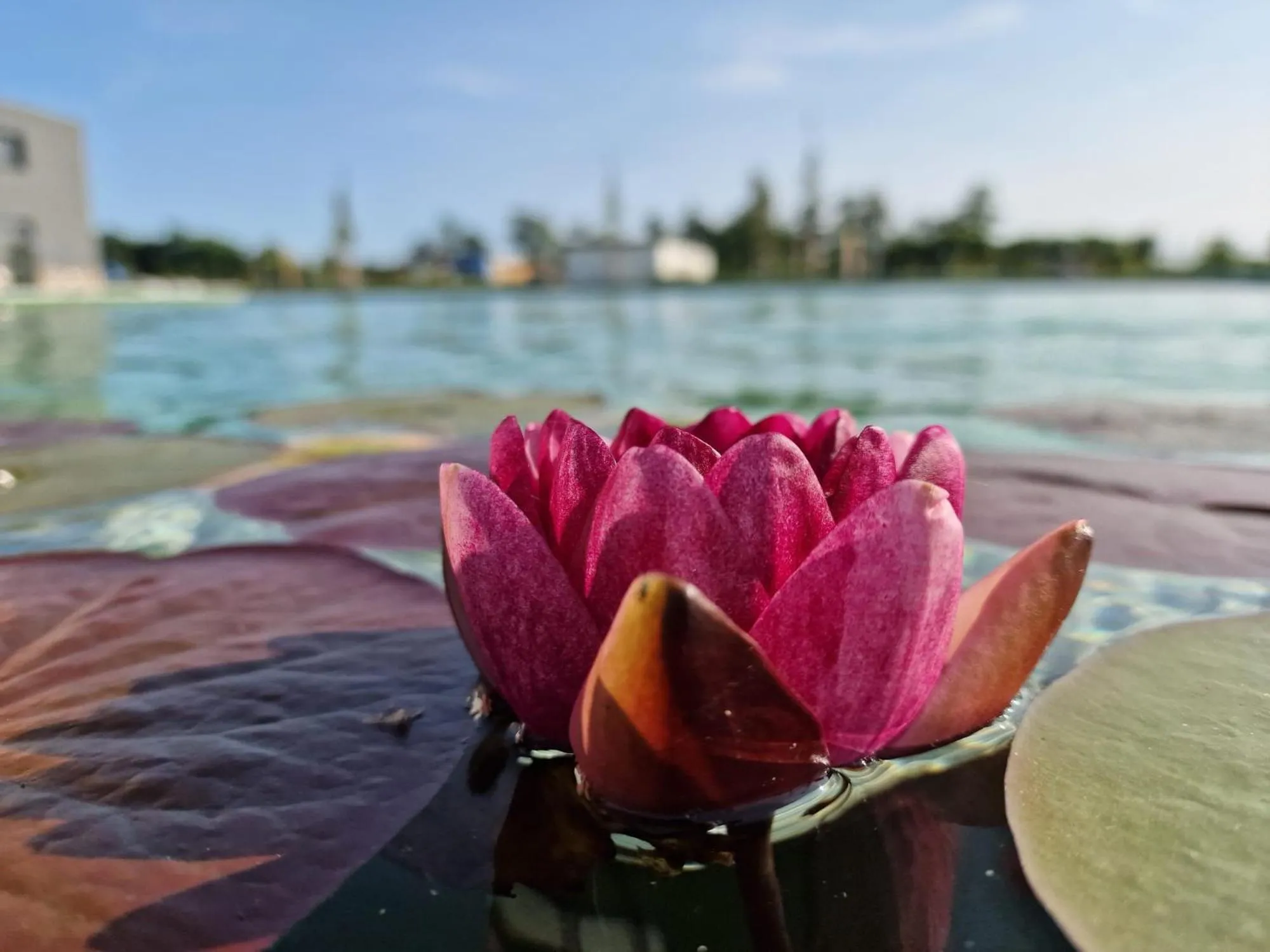 Prima Resort Boddenblick - Camping & Tiny House-Resort