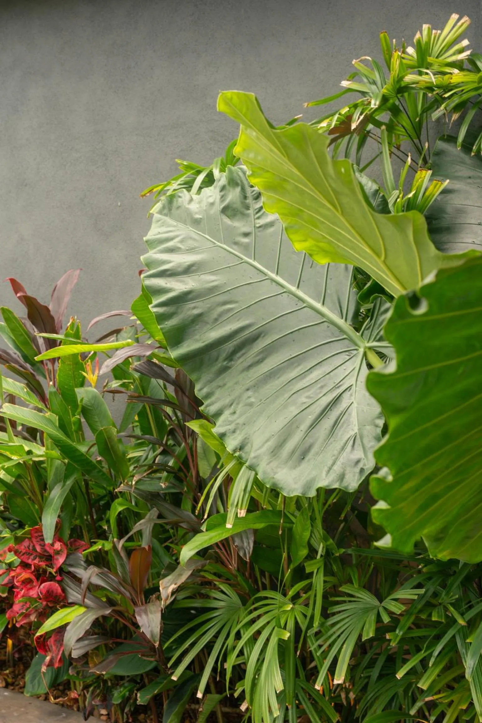 DORMERO Hotel Sri Lanka Hikkaduwa Beach