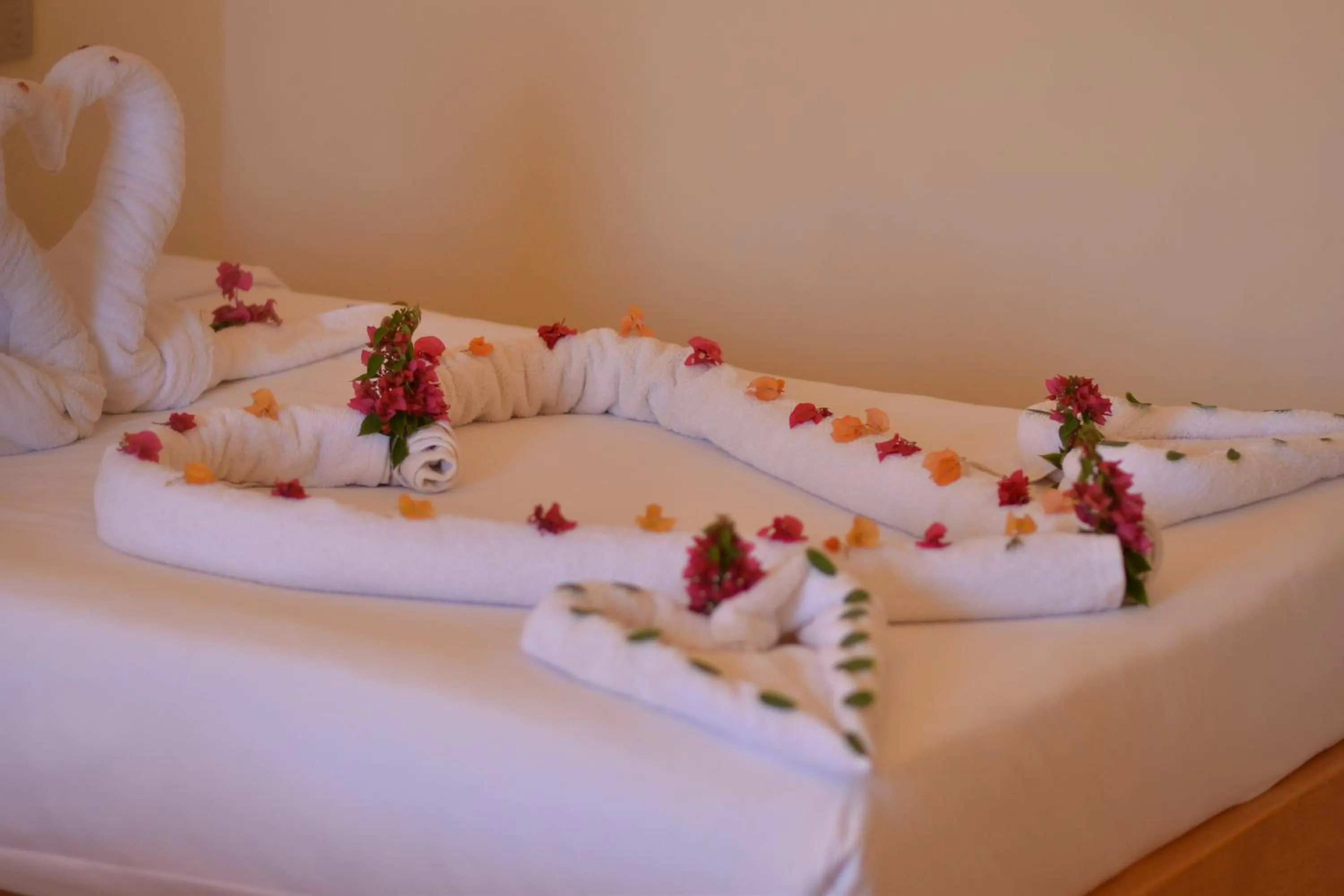 Bed in Sharm Cliff Hotel