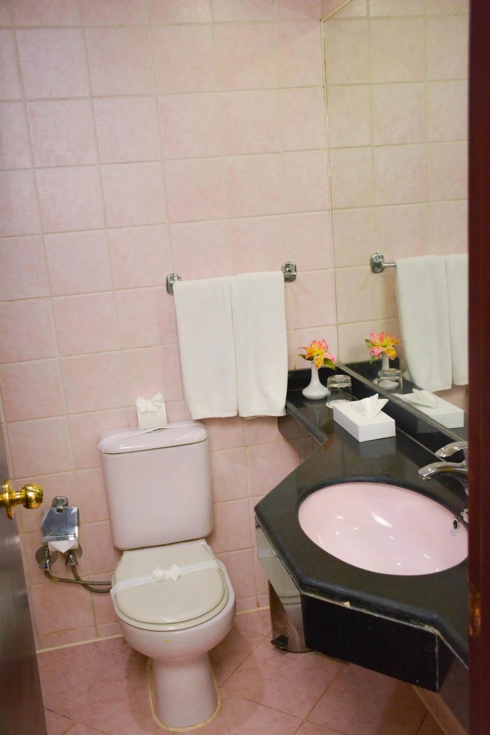 Toilet in Aracan Pyramid Hotel