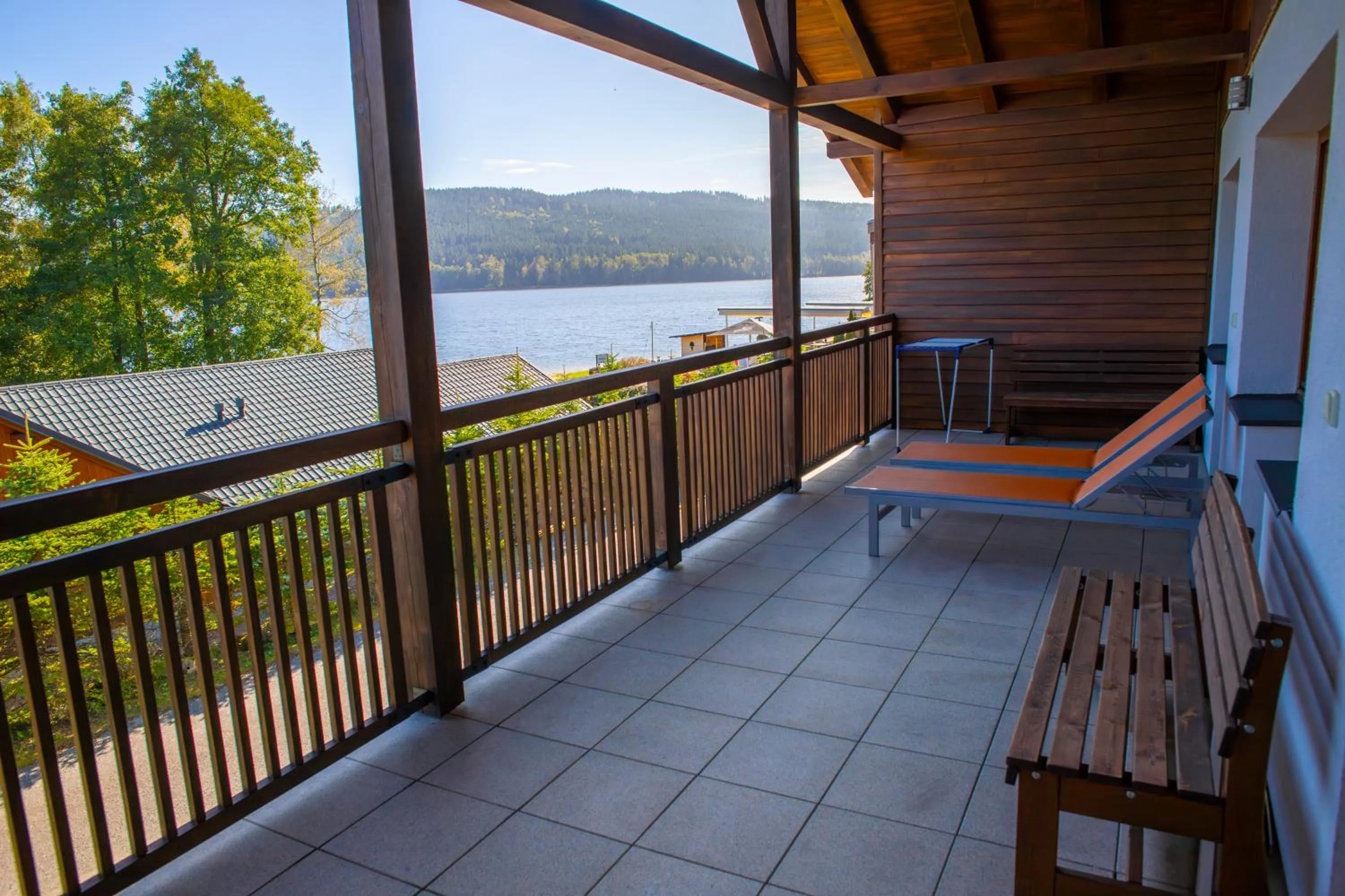 View (from property/room) in Amenity Hotel & Resort Lipno