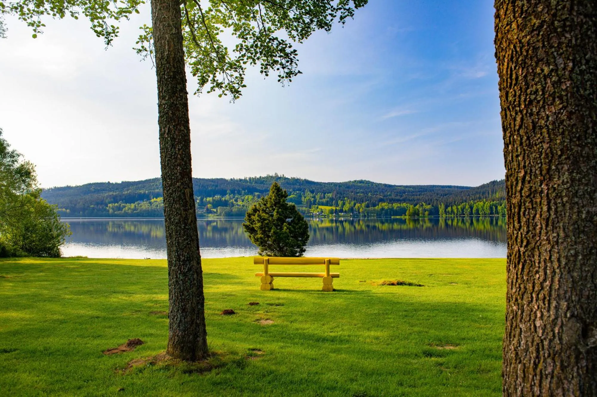 Beach in Amenity Hotel & Resort Lipno