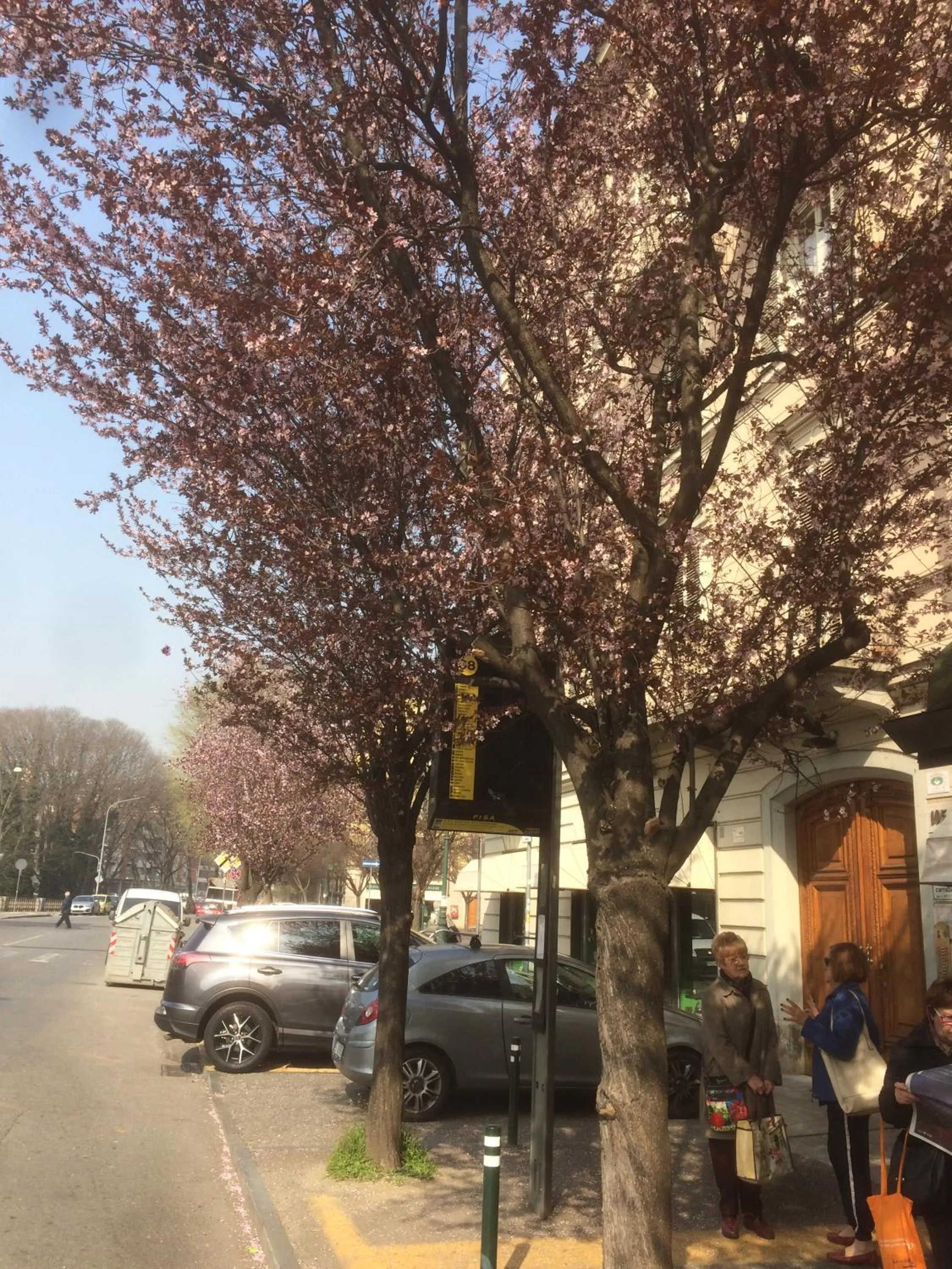 Property building in B&B la casa di Arturo