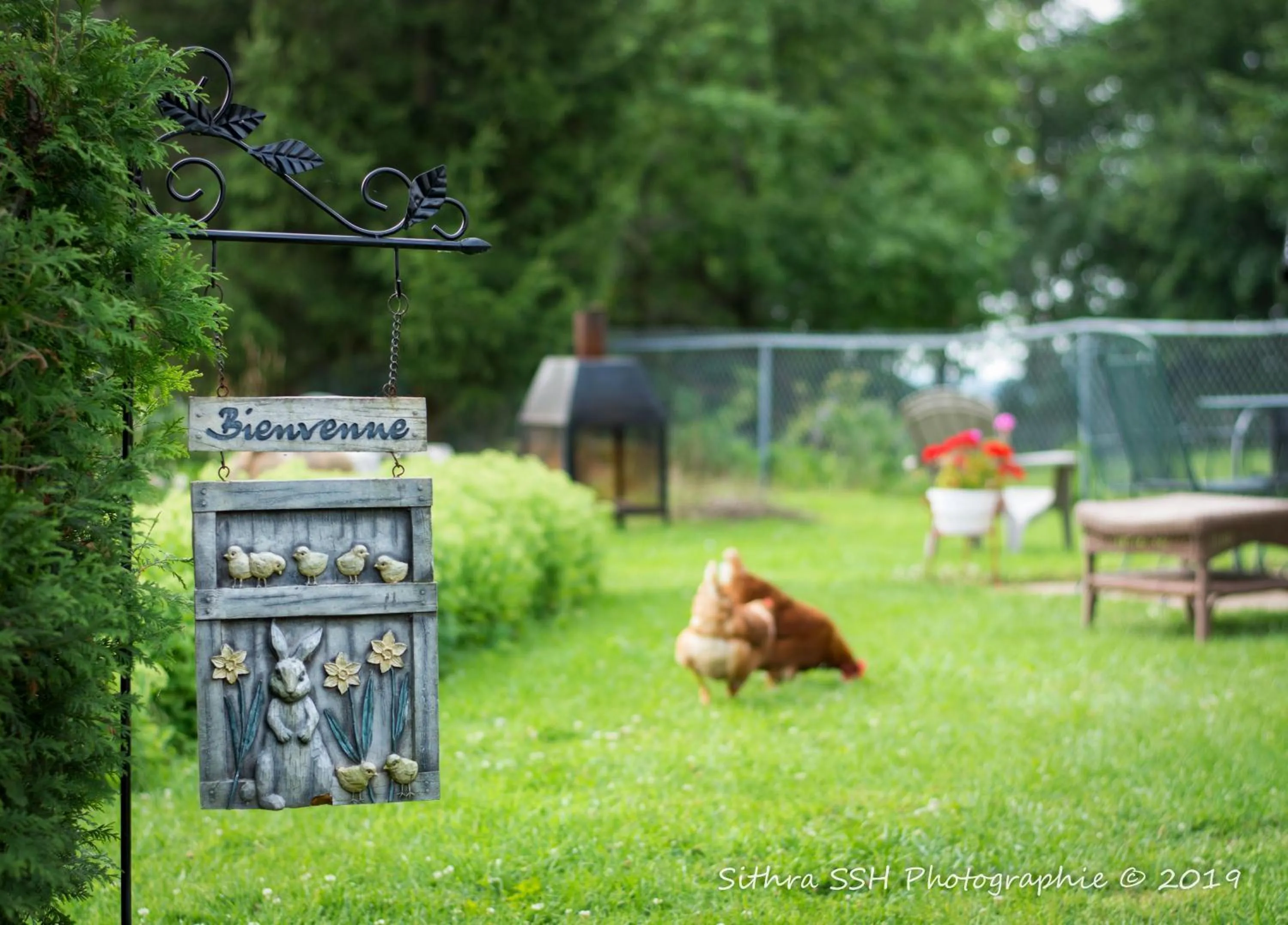 Garden in Gîte du Village - Deschambault