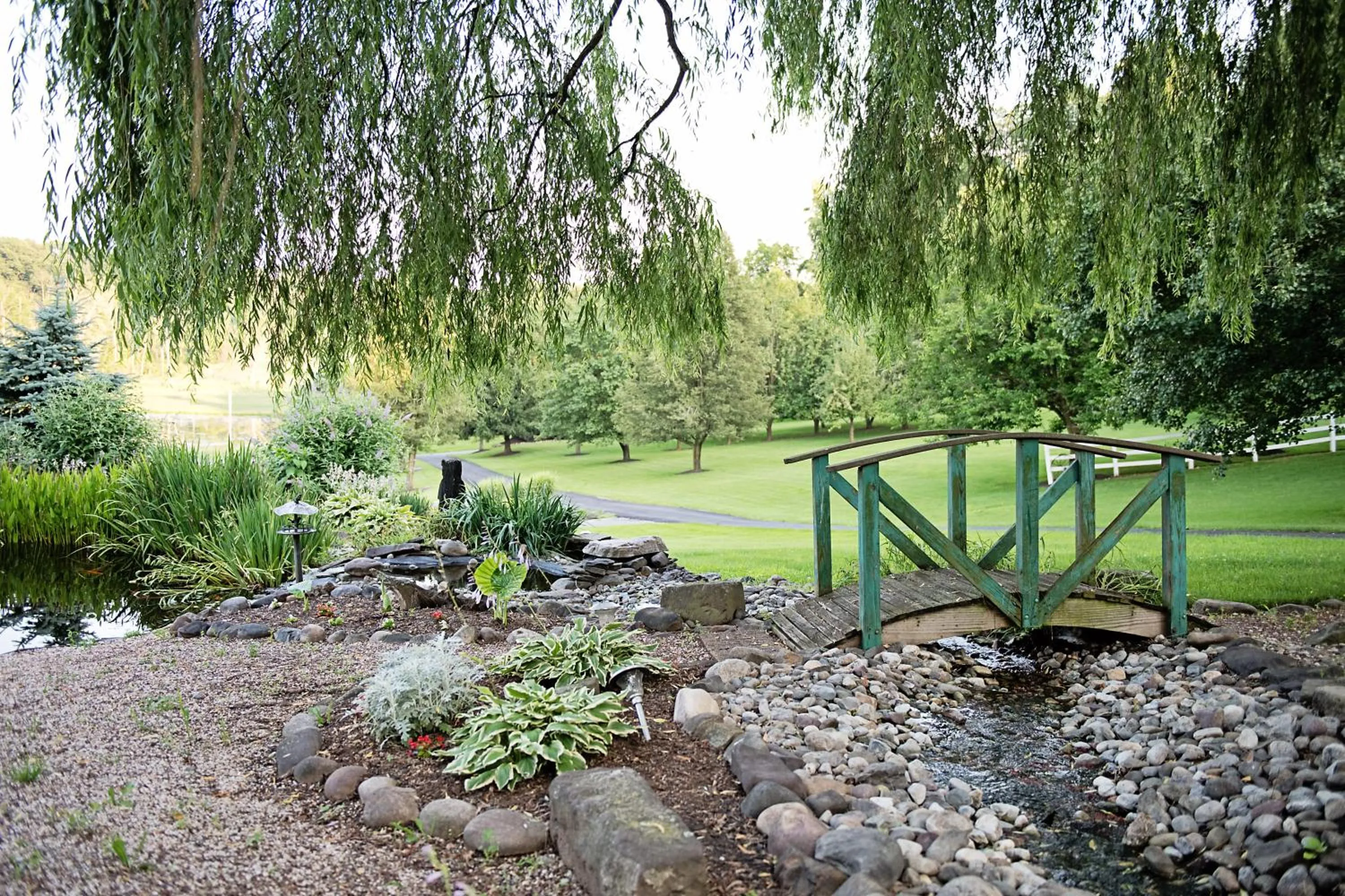Garden view in Berry Patch BnB