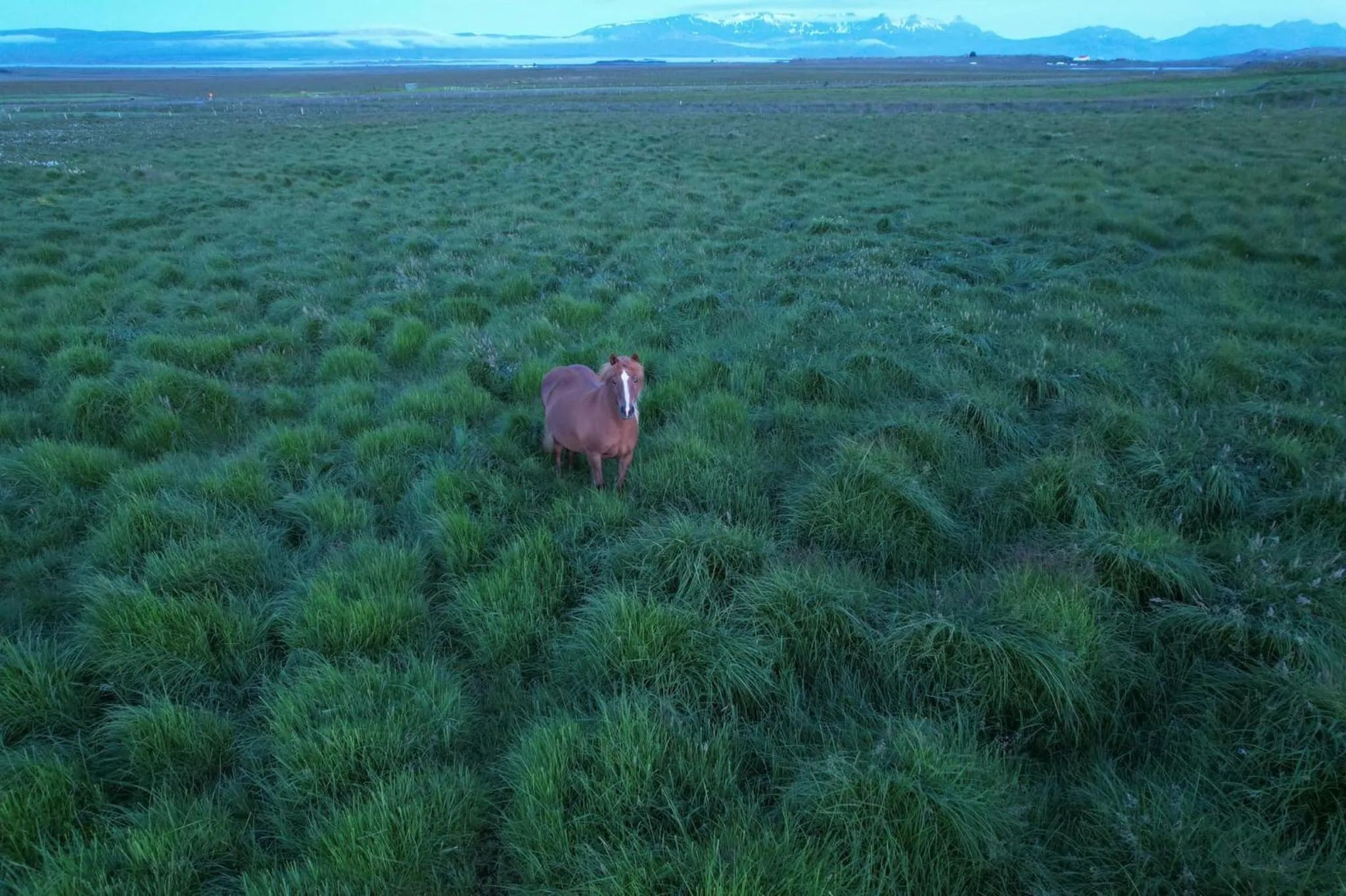 Day in Hotel Stafholt