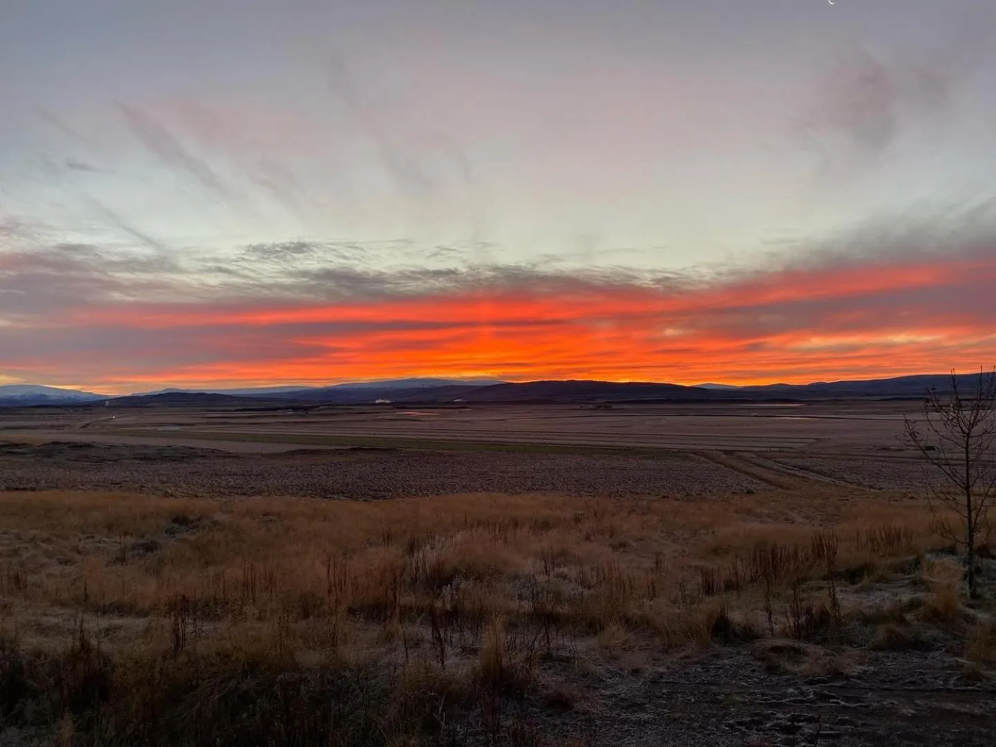 Natural landscape in Hotel Stafholt