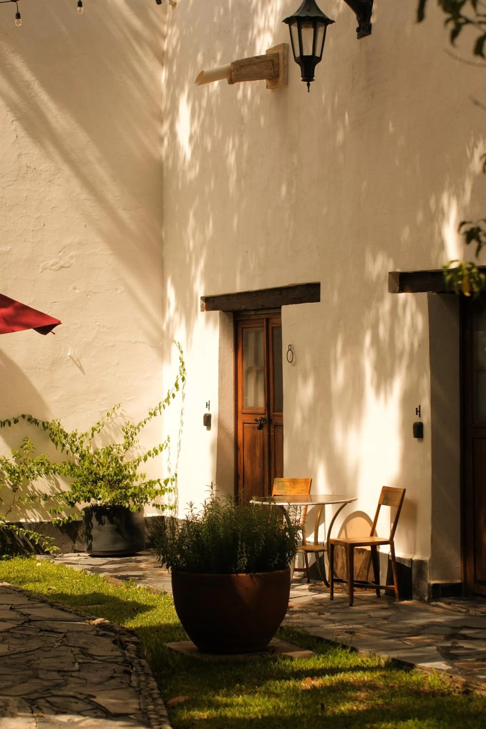 Garden view in Casa Raco - Parras de la Fuente