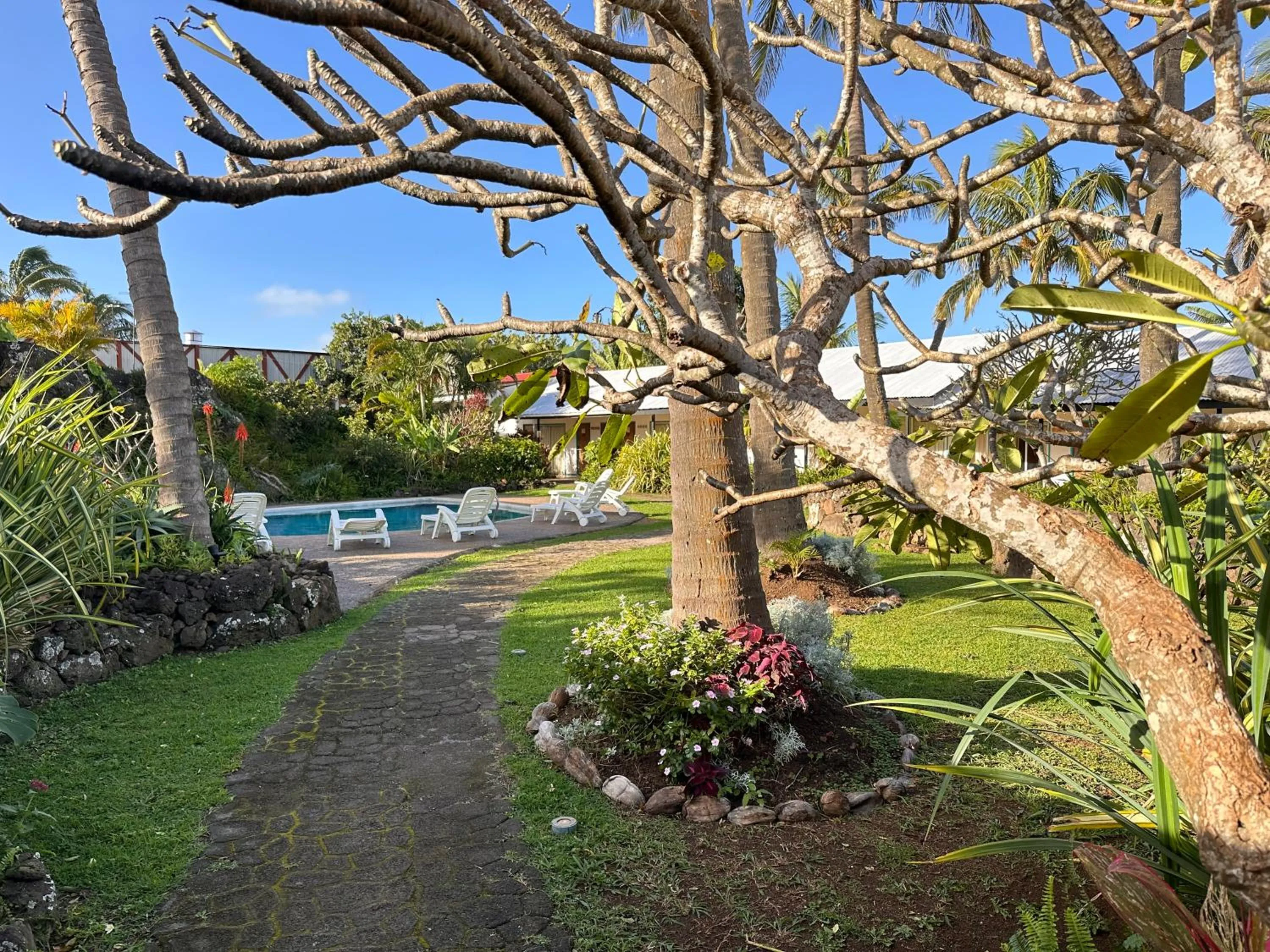 Garden in Hotel Hotu Matua by EI
