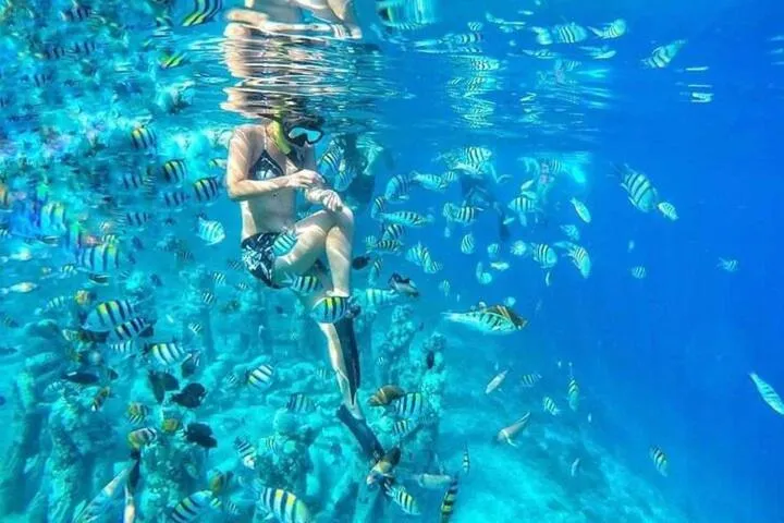 Snorkeling in Zavana rooms & Restaurant
