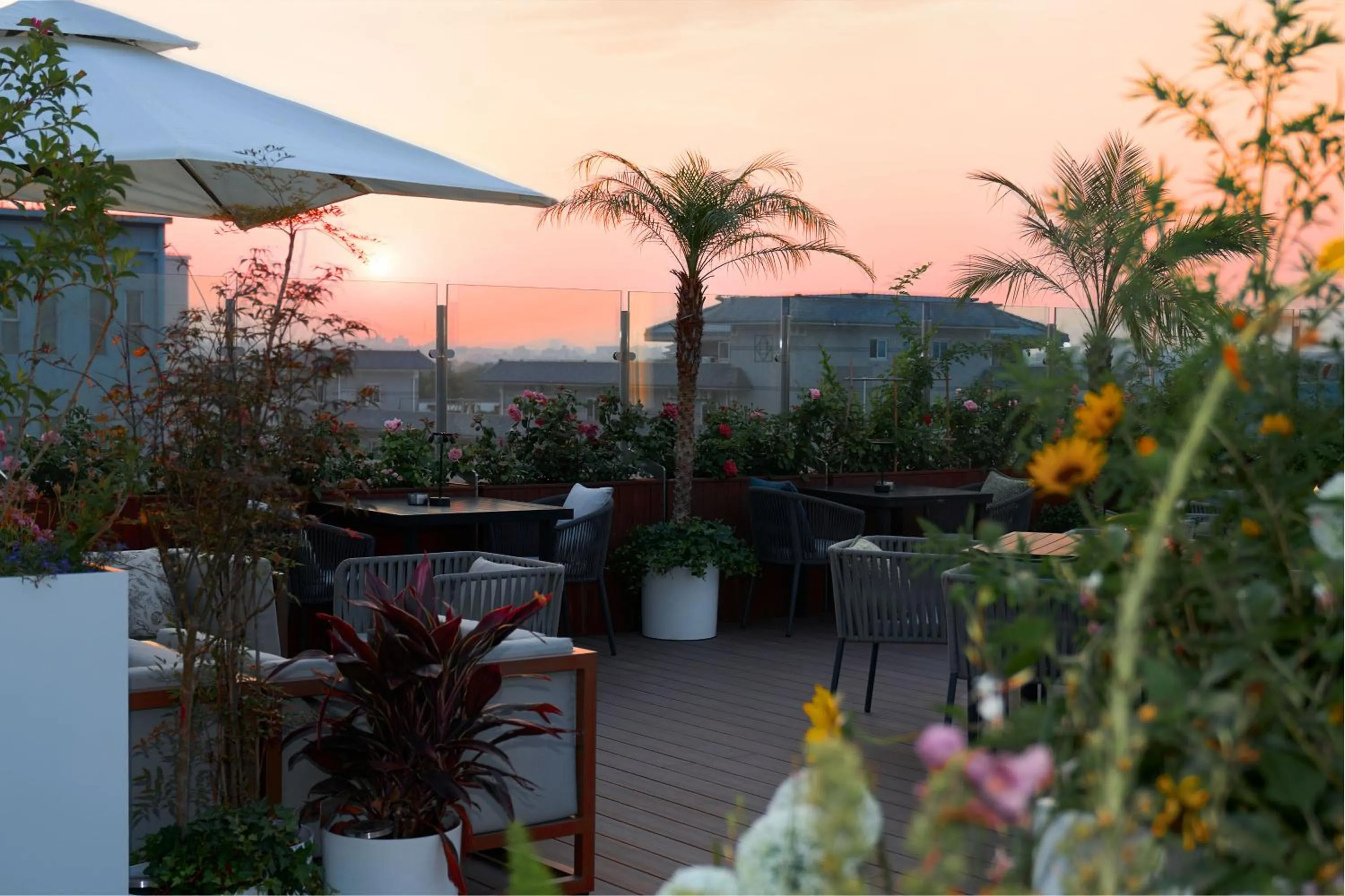 Balcony/Terrace in The Purple Horse Hotel Beijing