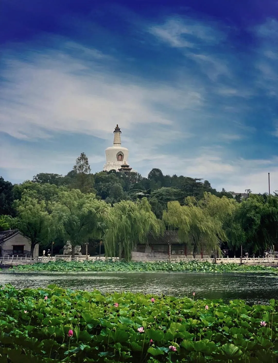 Other in The Purple Horse Hotel Beijing
