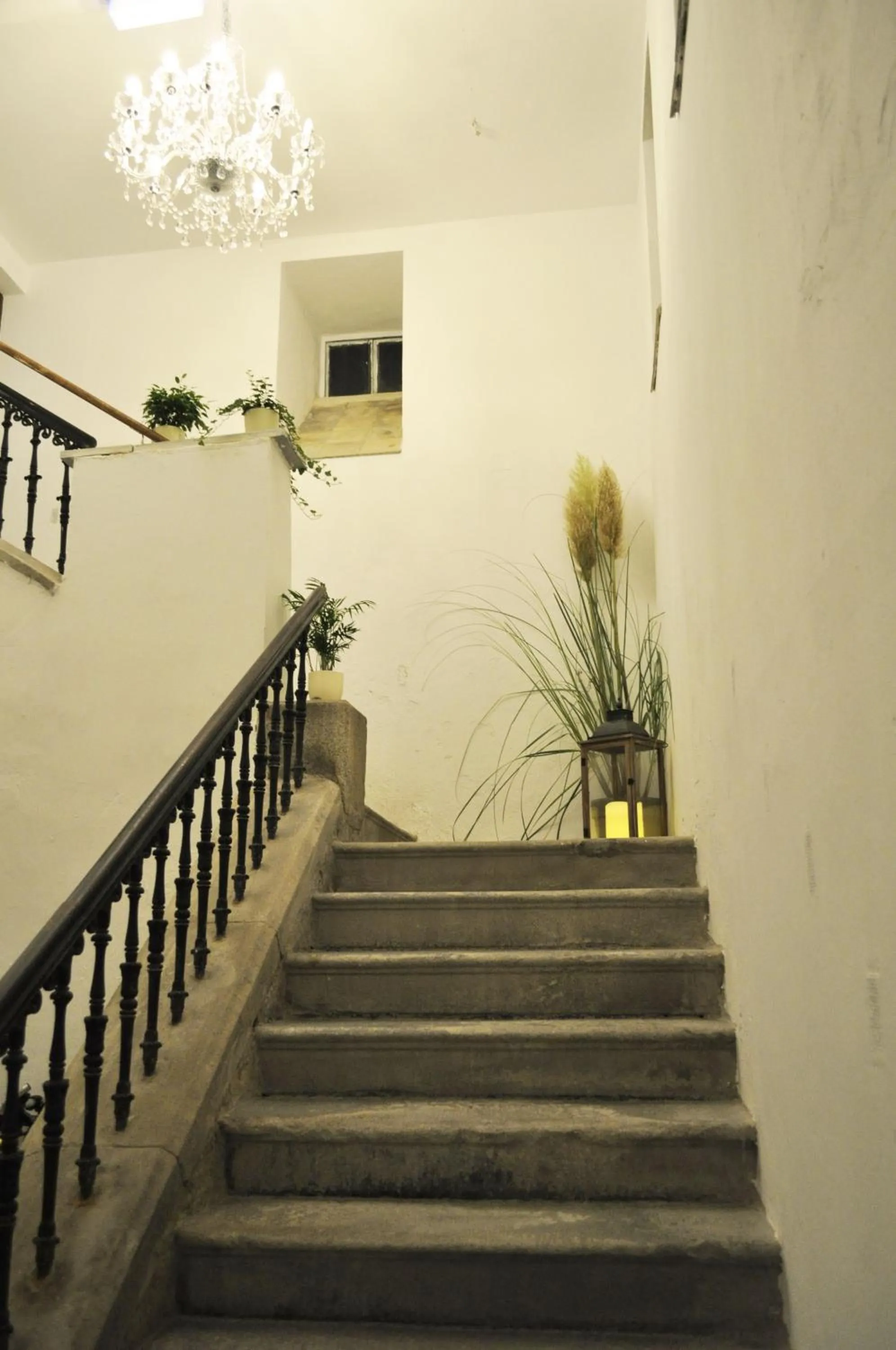 Other in Art Hotel & Hostel