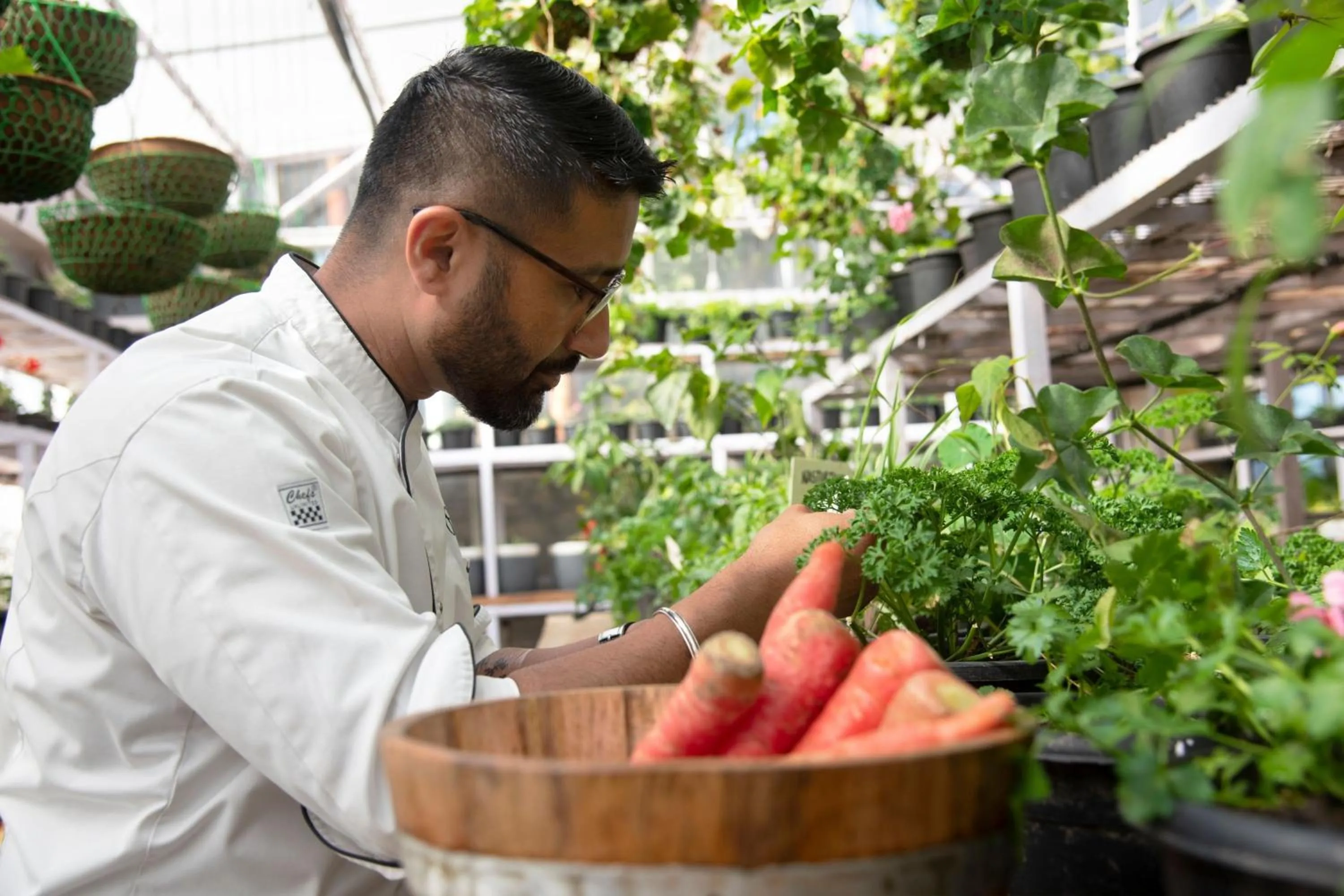 Other in JW Marriott Mussoorie Walnut Grove Resort & Spa