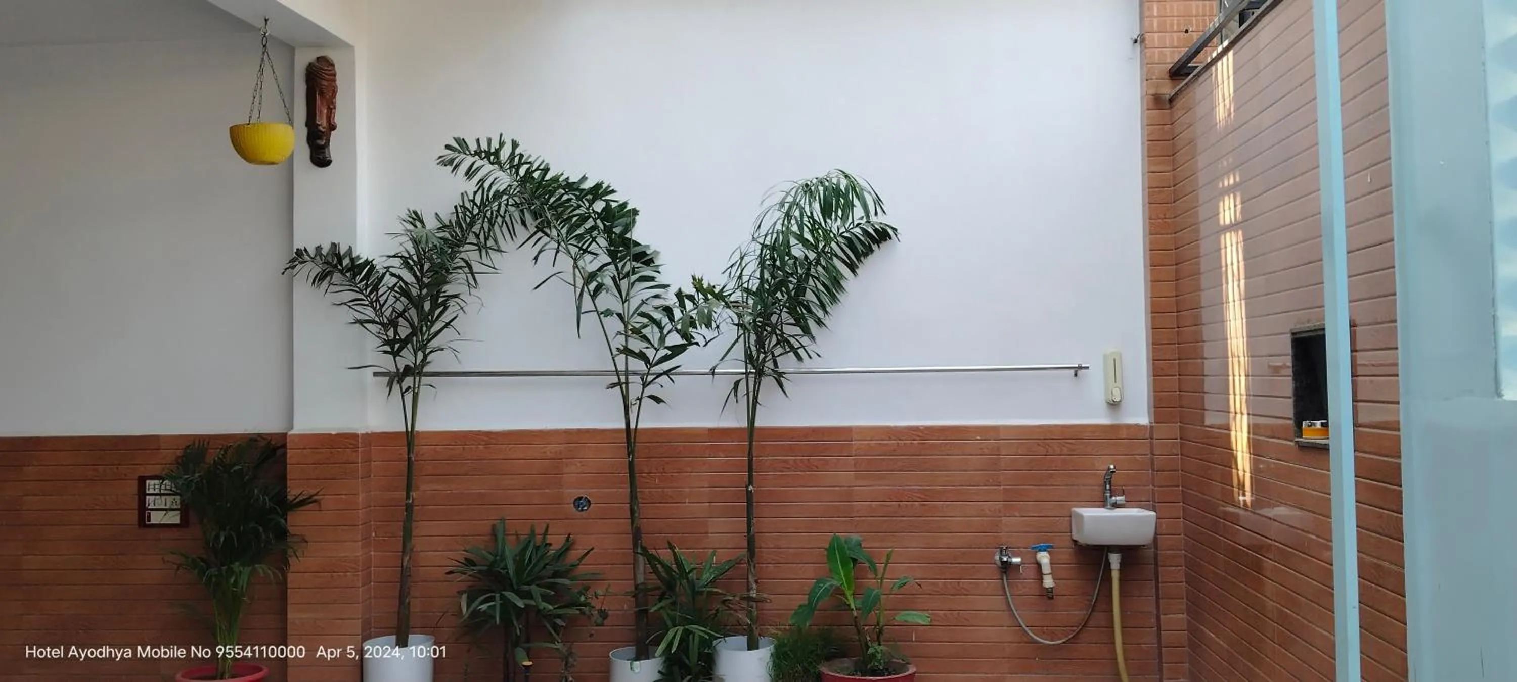 Garden view in Hotel Ayodhya Paying Guest