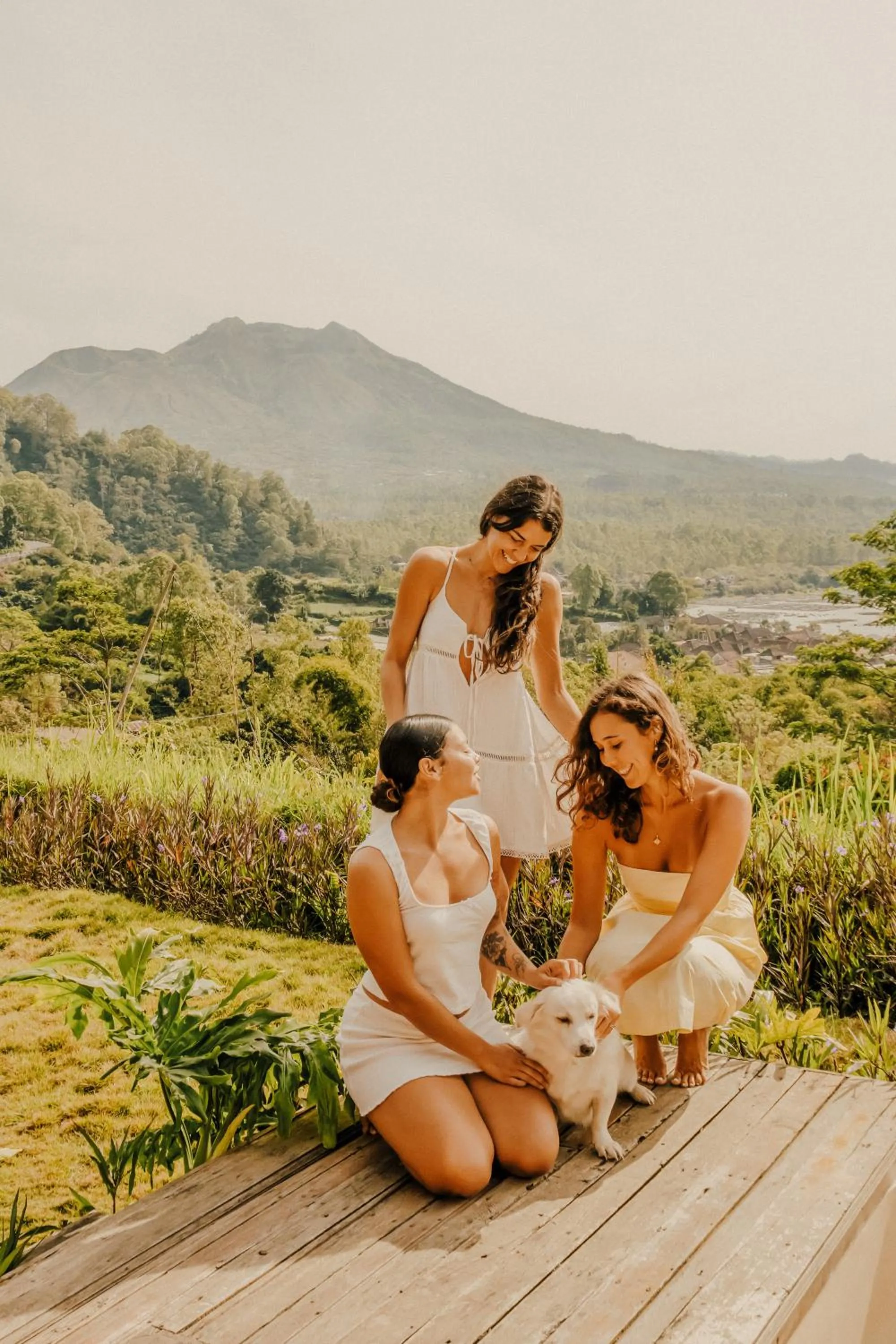 Property building in Calidas Hill