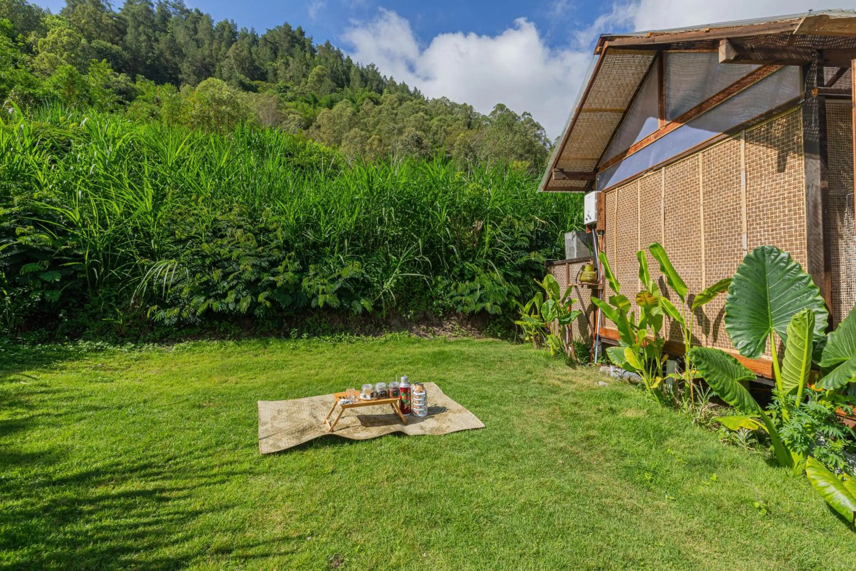 Natural landscape in Calidas Hill