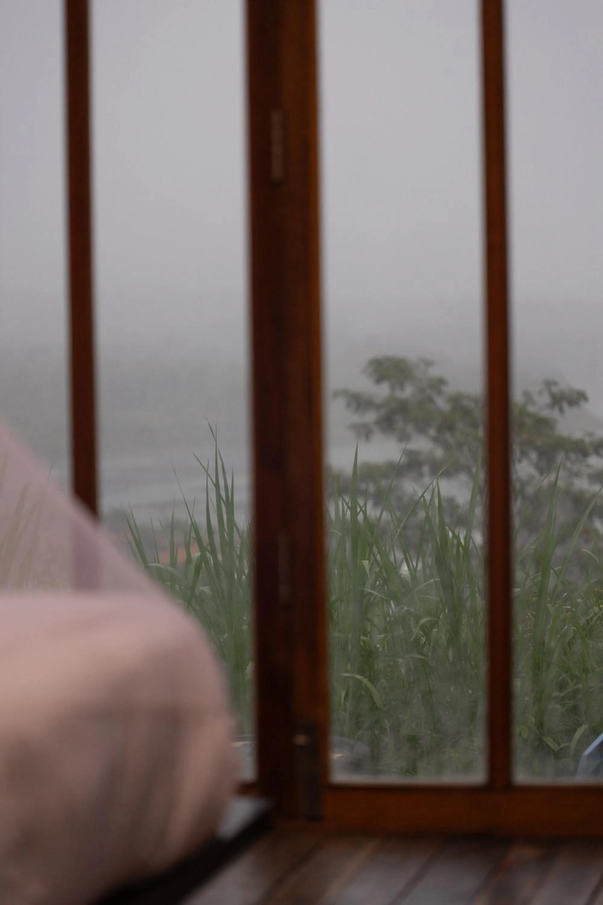 Natural landscape in Calidas Hill