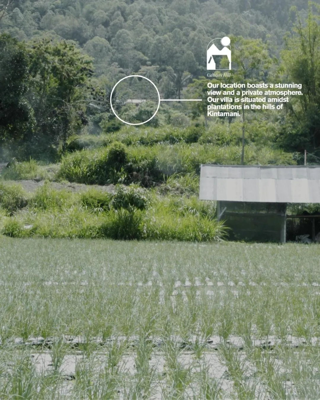 Property building in Calidas Hill