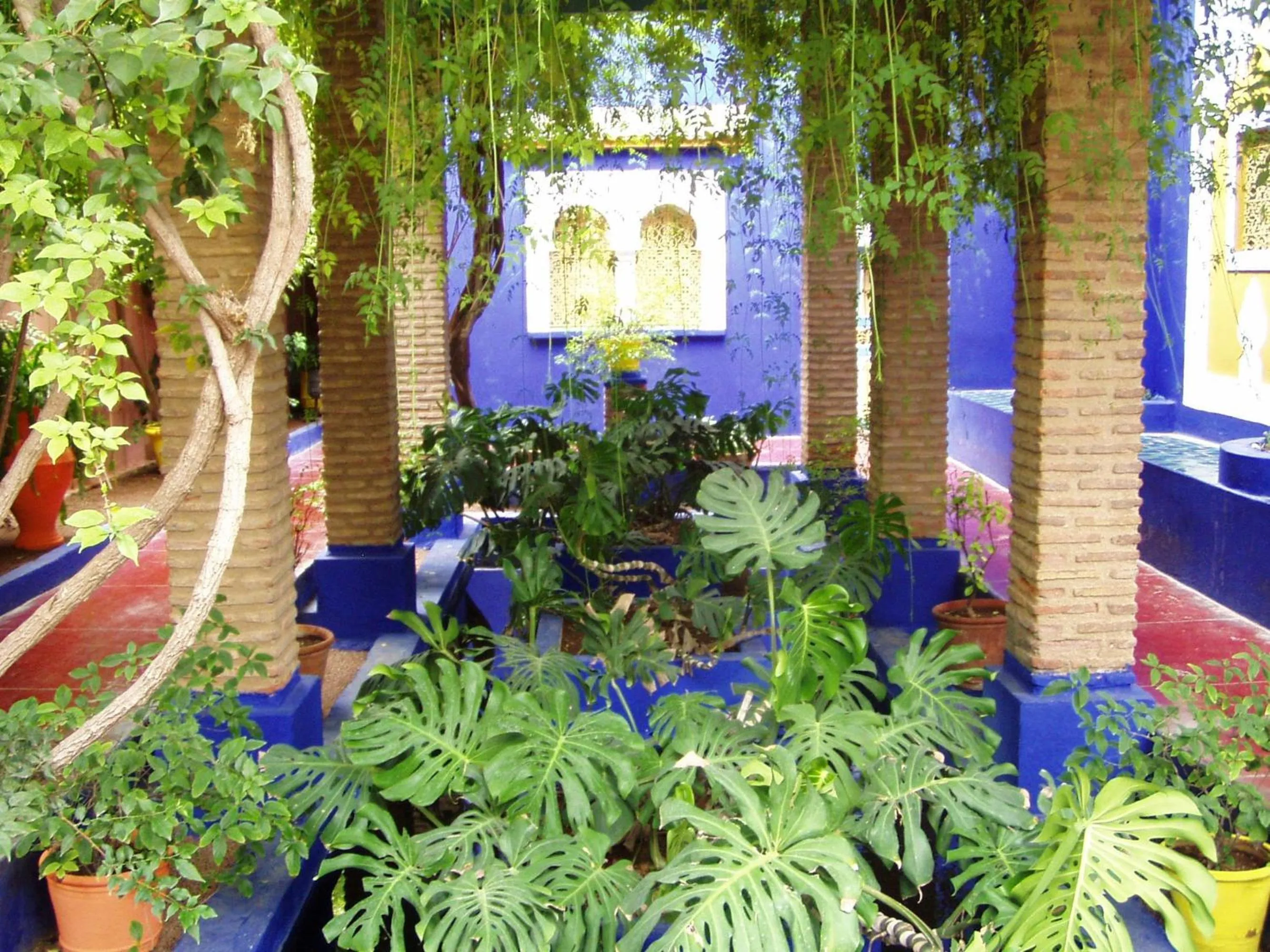 Garden in Riad Aquarelle By GE