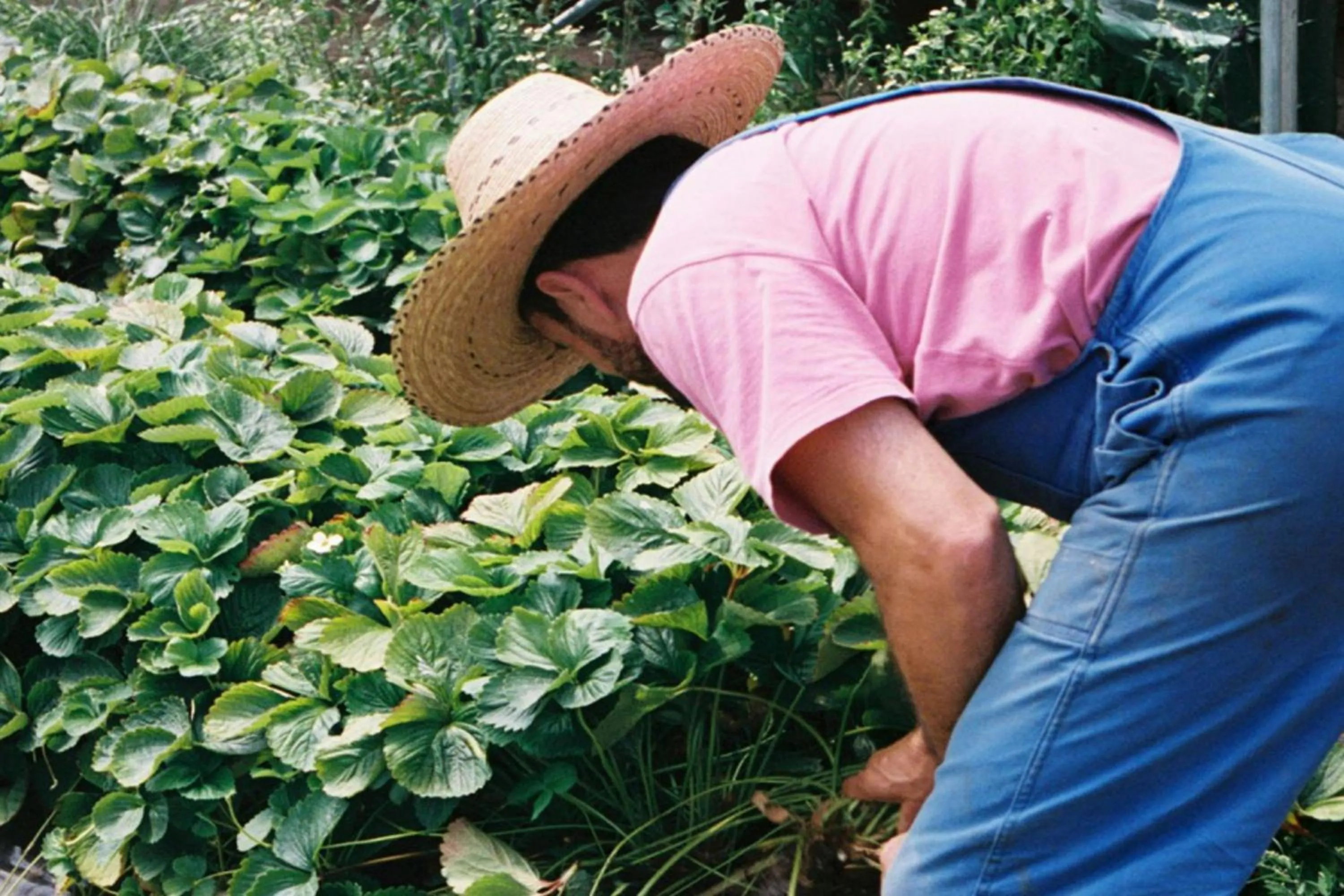 Restaurant/places to eat in Hôtel du Couvent, a Luxury Collection Hotel, Nice