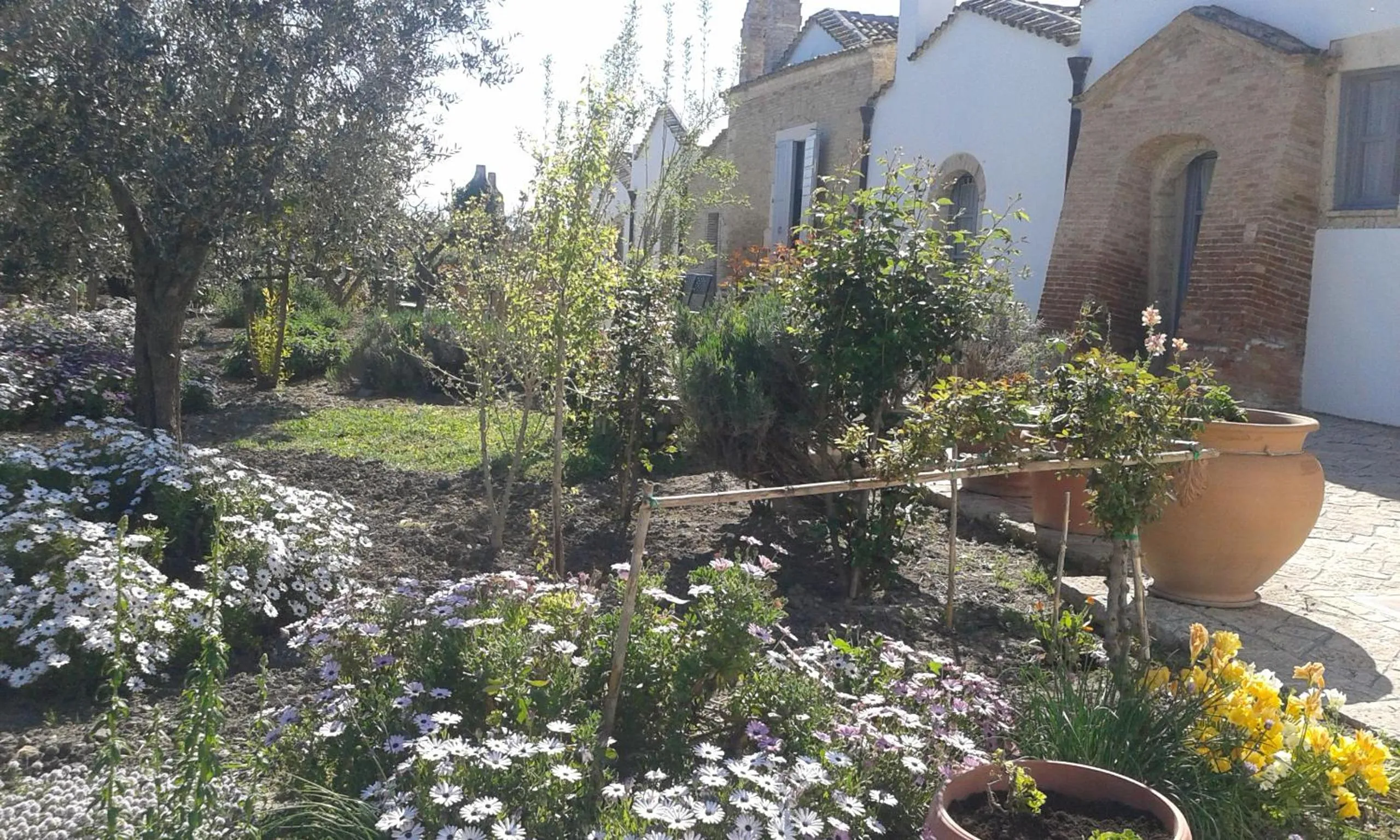 Masseria Celentano Relais & Agriturismo